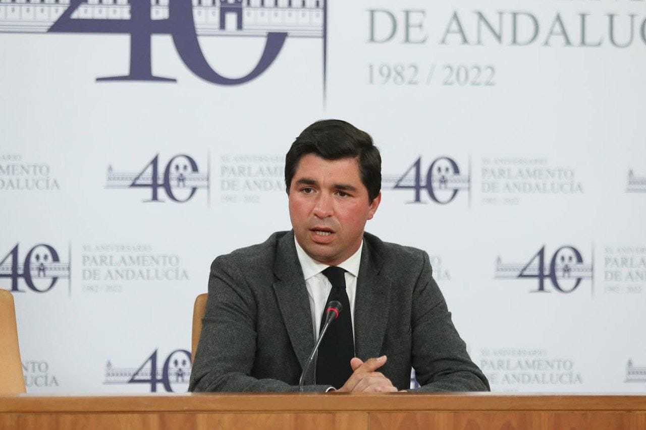 El presidente de la comisin de investigacin sobre la Faffe, el diputado de Cs Enrique Moreno.