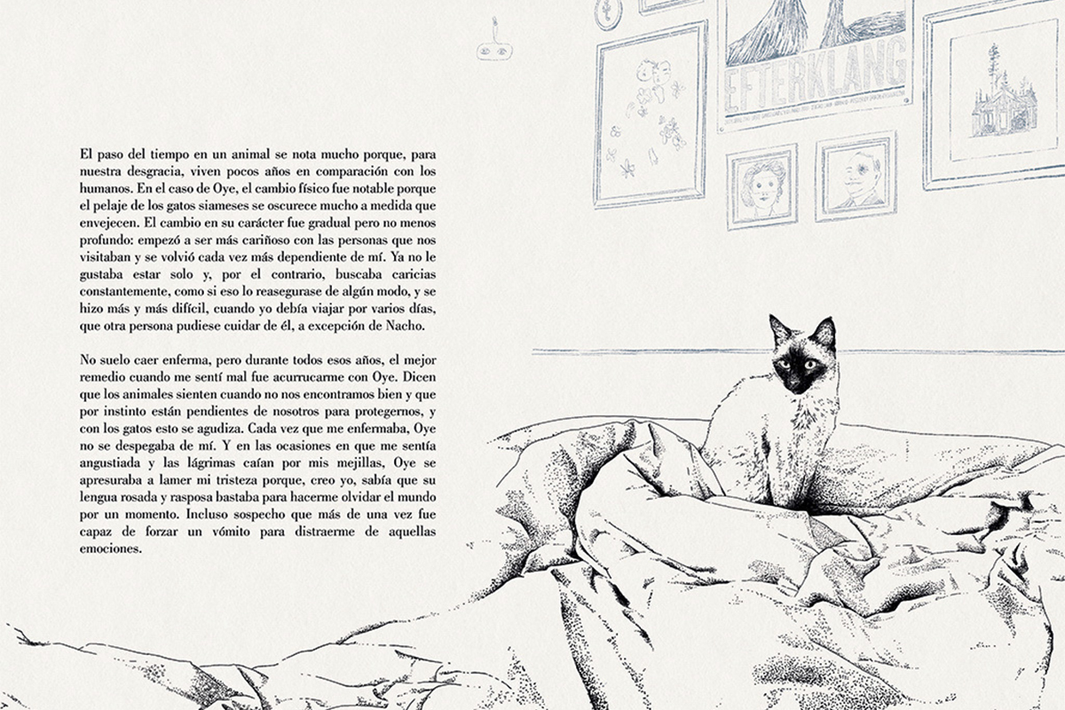 Ilustraciones de 'Historia de un gato' (Lumen).