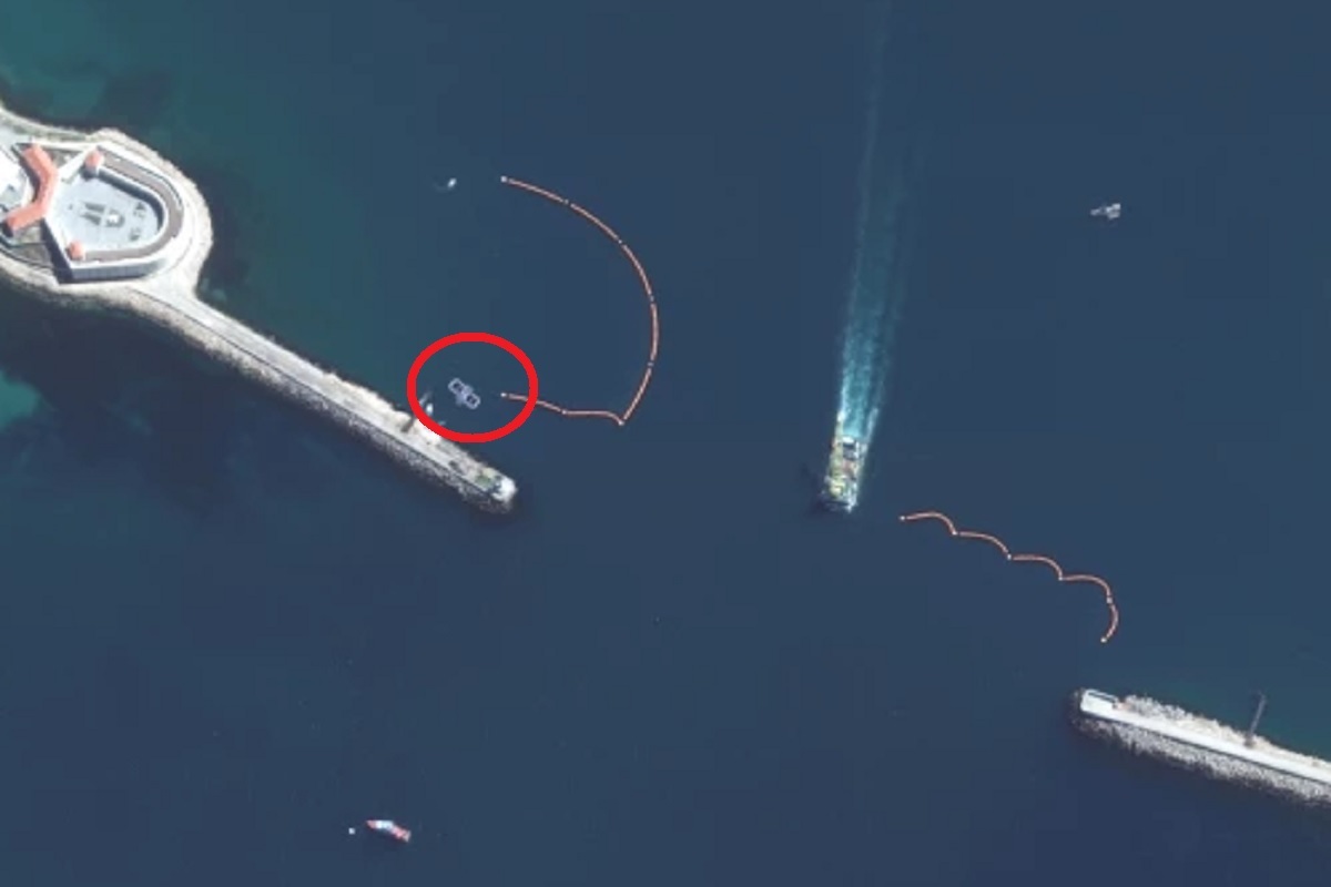 Imágenes de satélite muestran a delfines entrenados por la Marina Rusa para proteger la base naval del Mar Negro