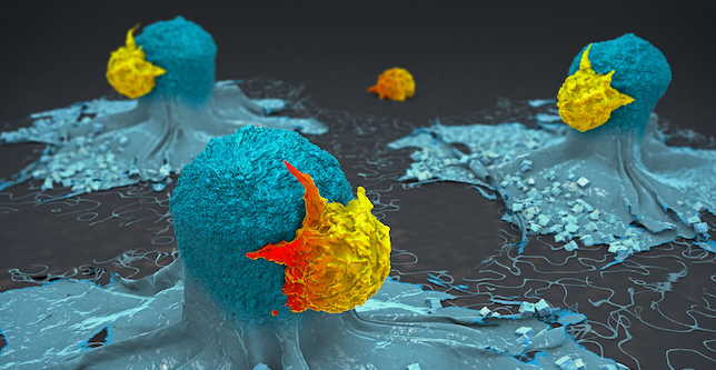 Representación de células T atacando células cancerosas.