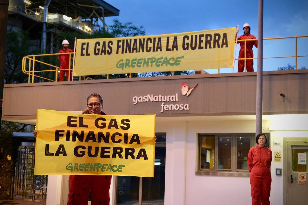 Activistas de Greenpeace en la central de Naturgy en Mlaga.