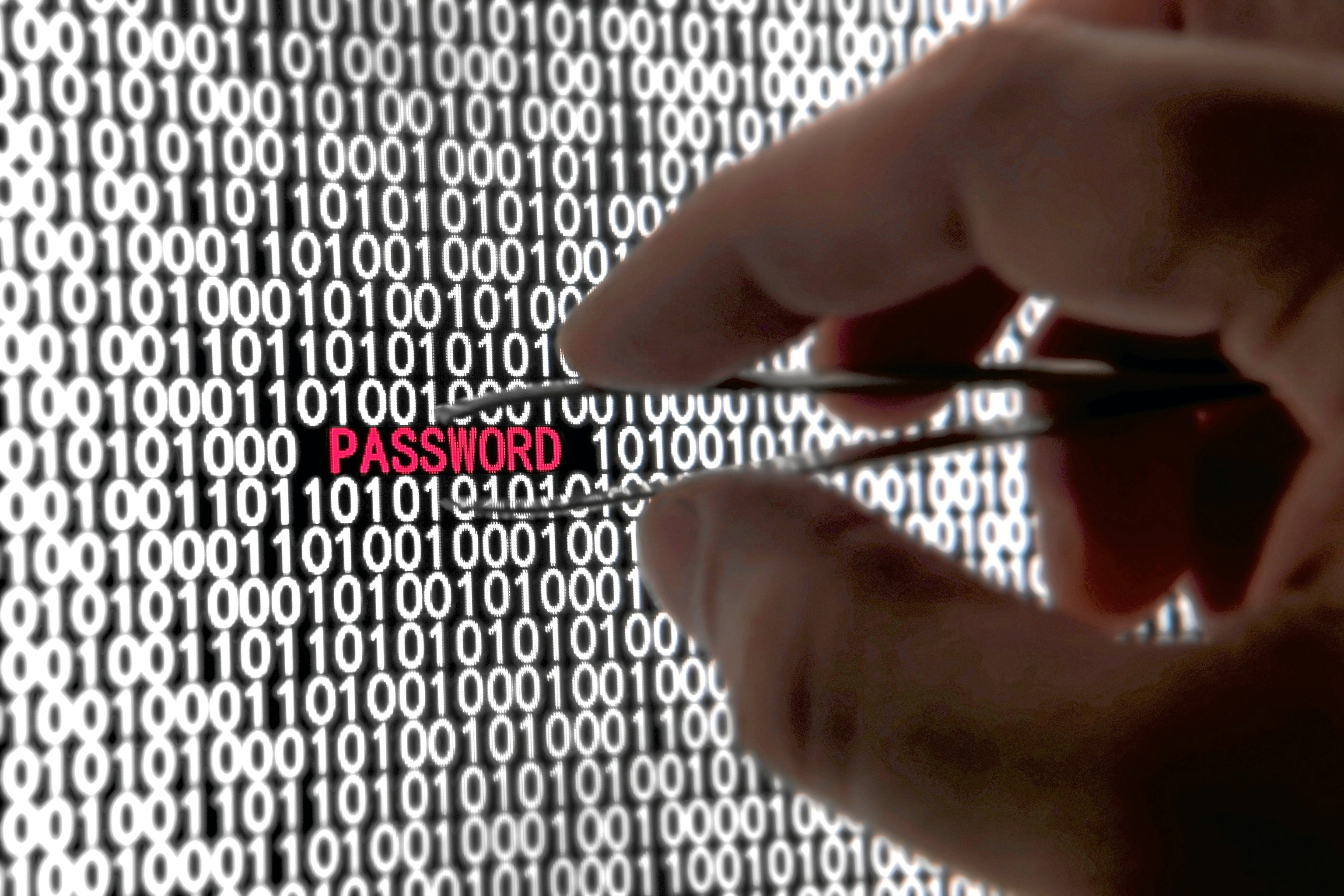 'Password' y '123456', aún entre las contraseñas más utilizadas