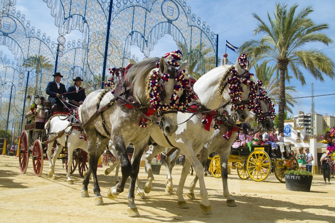 La Feria del Caballo del Jerez.