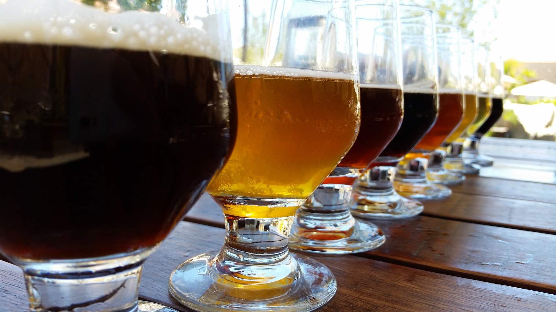 Vasos con diferentes tipos de cerveza dispuestos en fila.