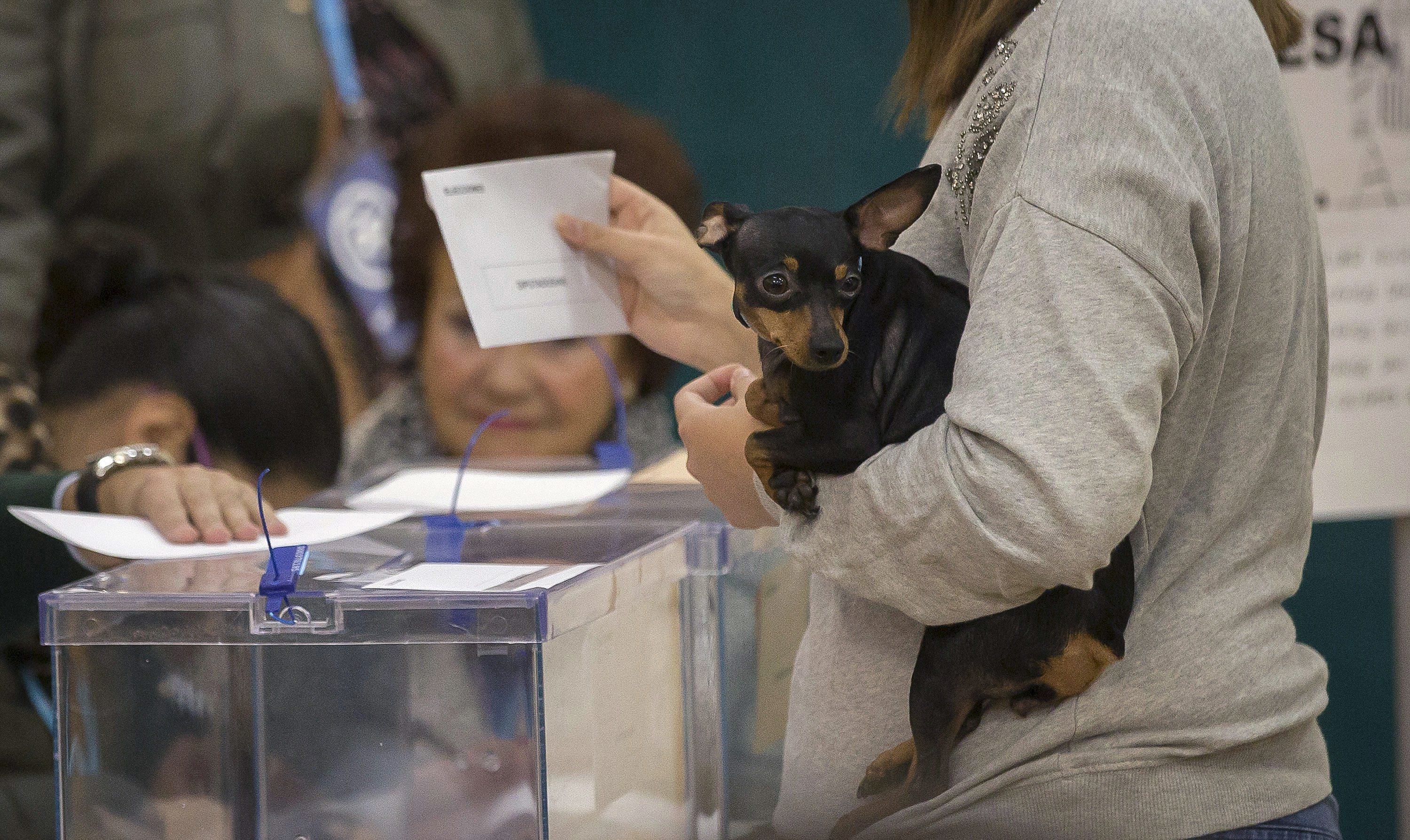 Votante con perro en mano deposita su voto en el colegio de Sevilla.