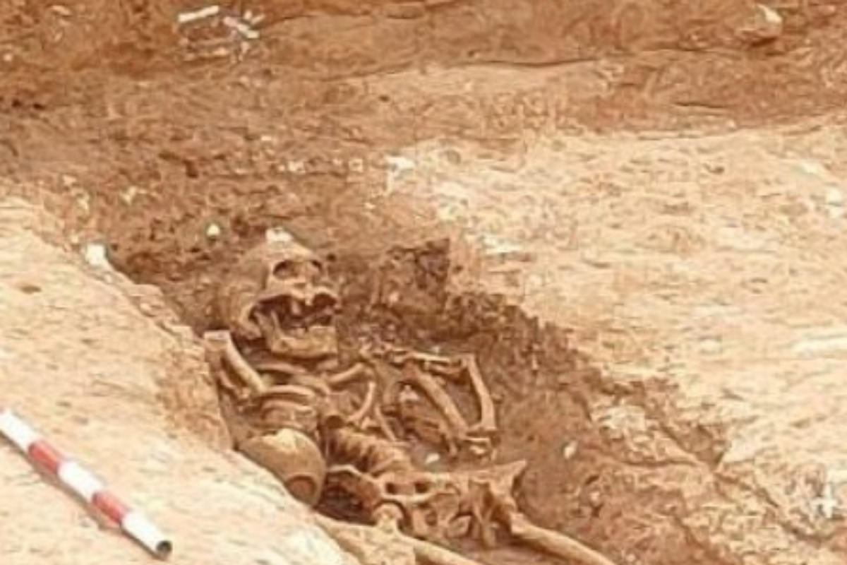 Esqueleto hallado en al excavacin.