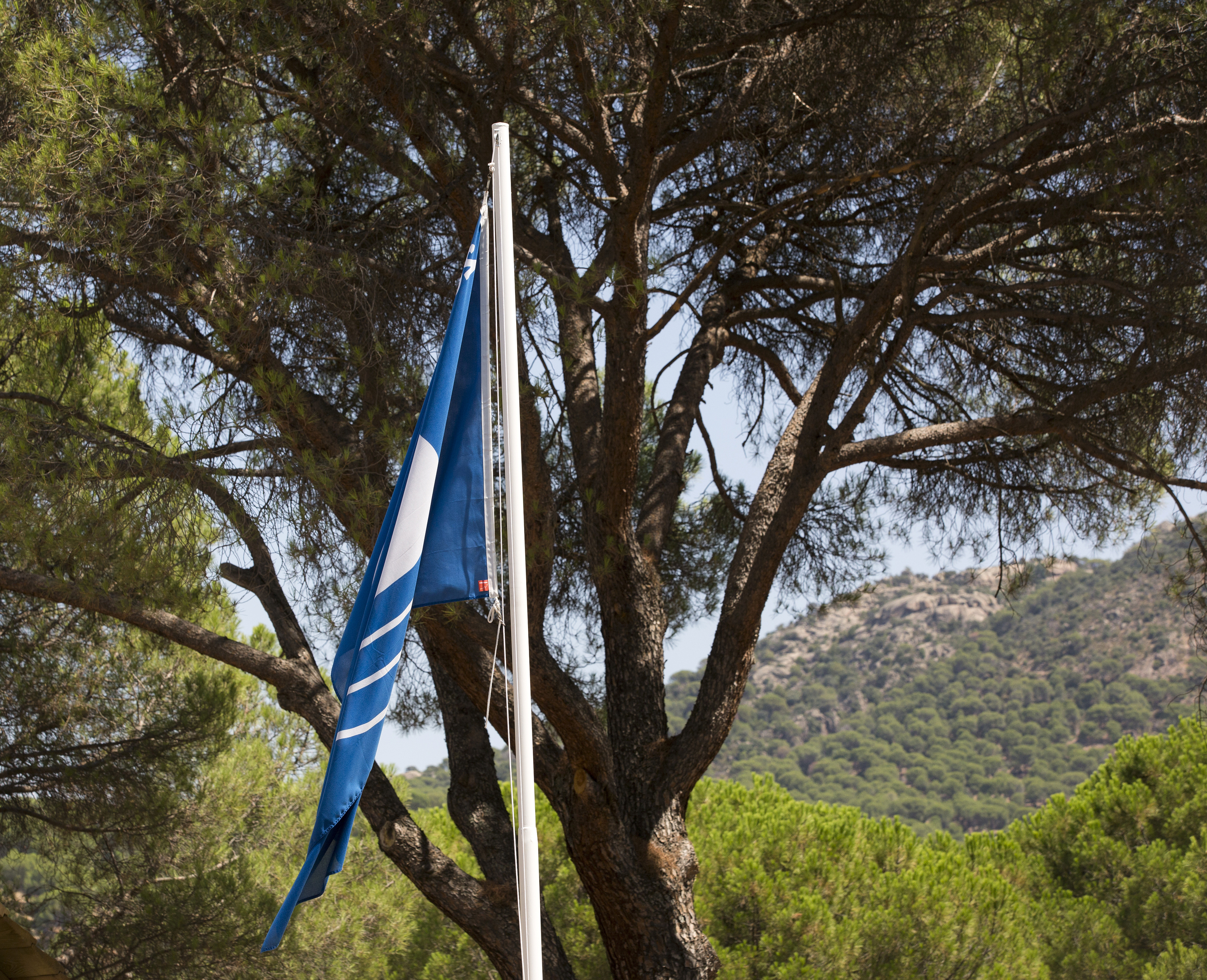 La bandera azul vuelve un año más a ondear en la playa de Virgen de la Nueva. Foto Javi Martínez.