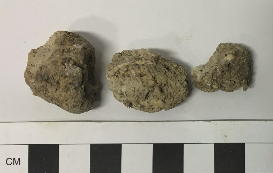 Human excreta collected at Durrington Walls settlement.