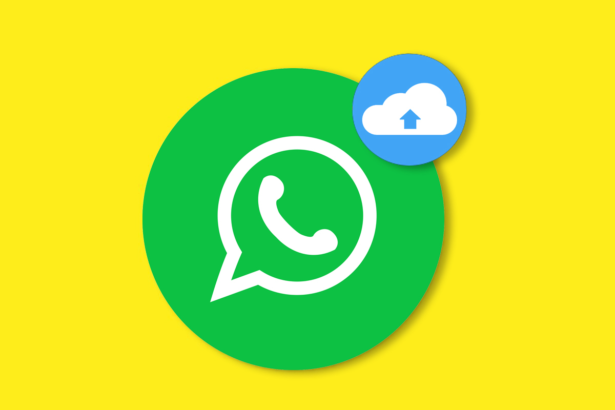 WhatsApp ofrecer
