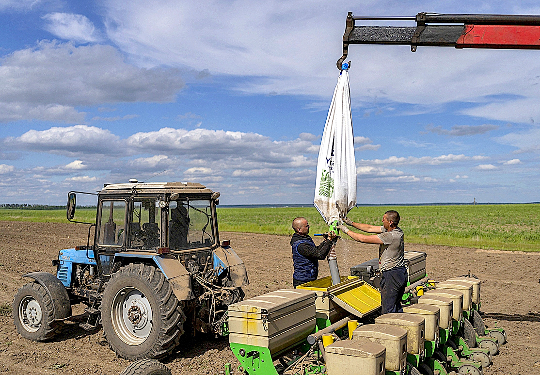 Two farmers plant sunflowers in the town of Cherkaska Lozova, on the outskirts of Kharkov.
