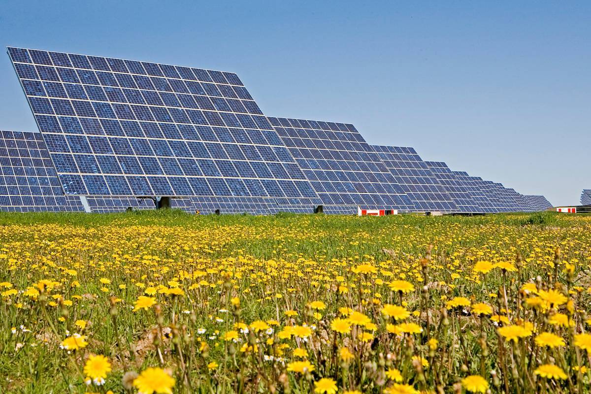Espaa se consolida como referente en la produccin de energa renovable