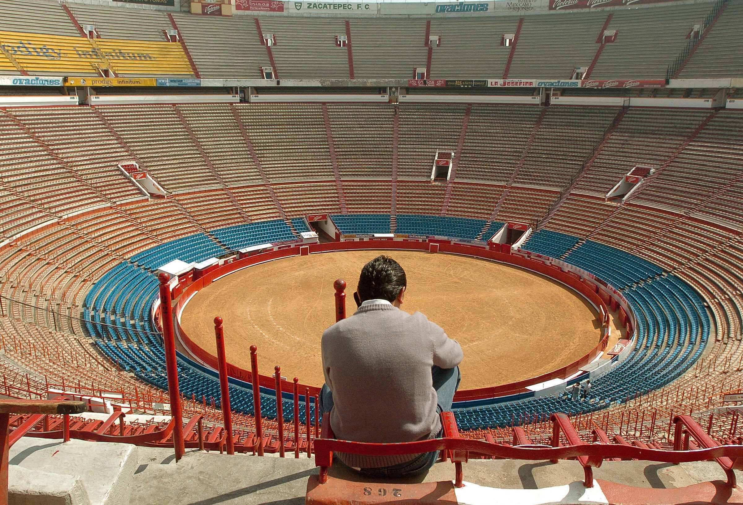 A fan watches the Plaza M Arena