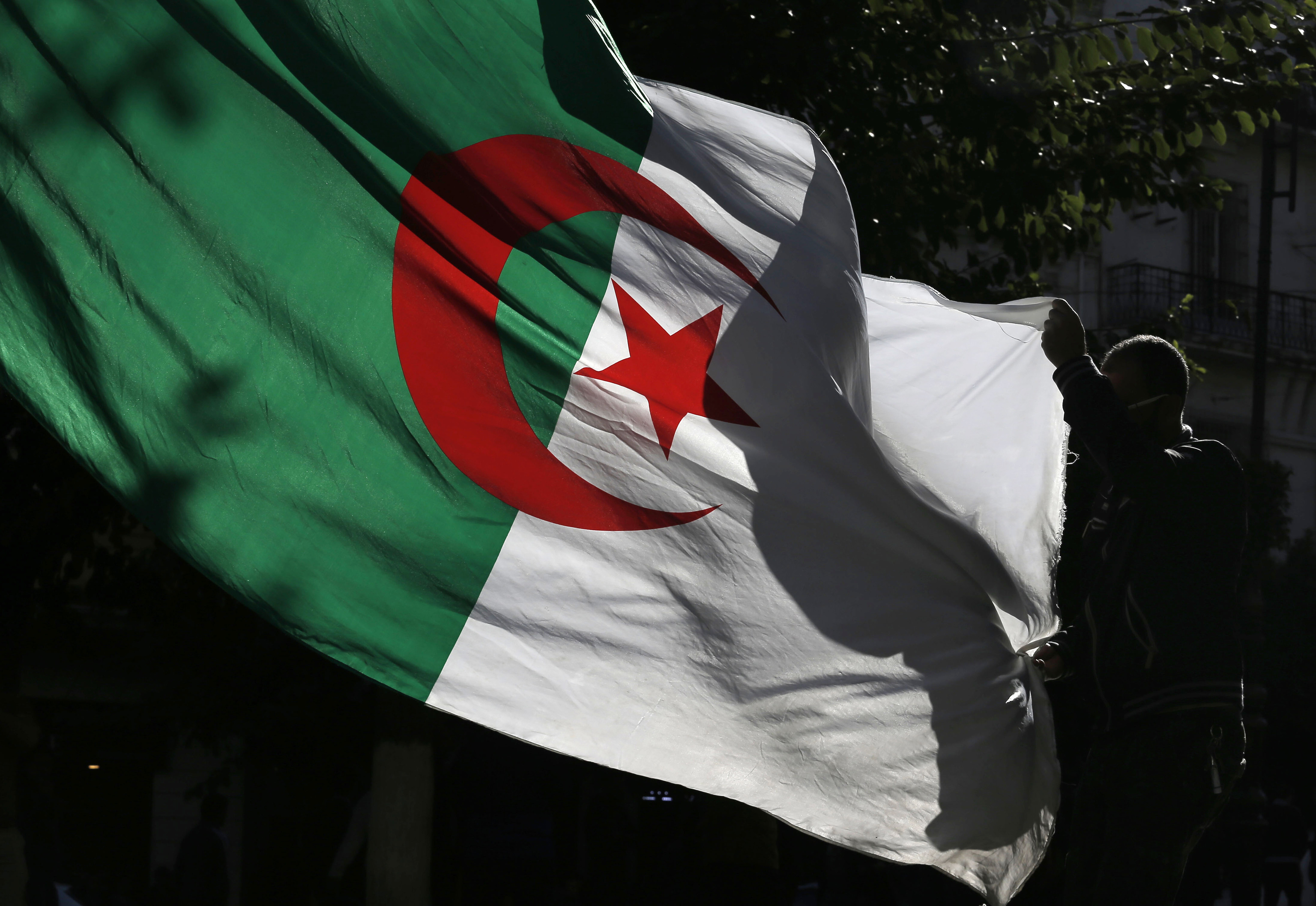 A demonstrator waving the Algerian flag during a protest against the government of this country