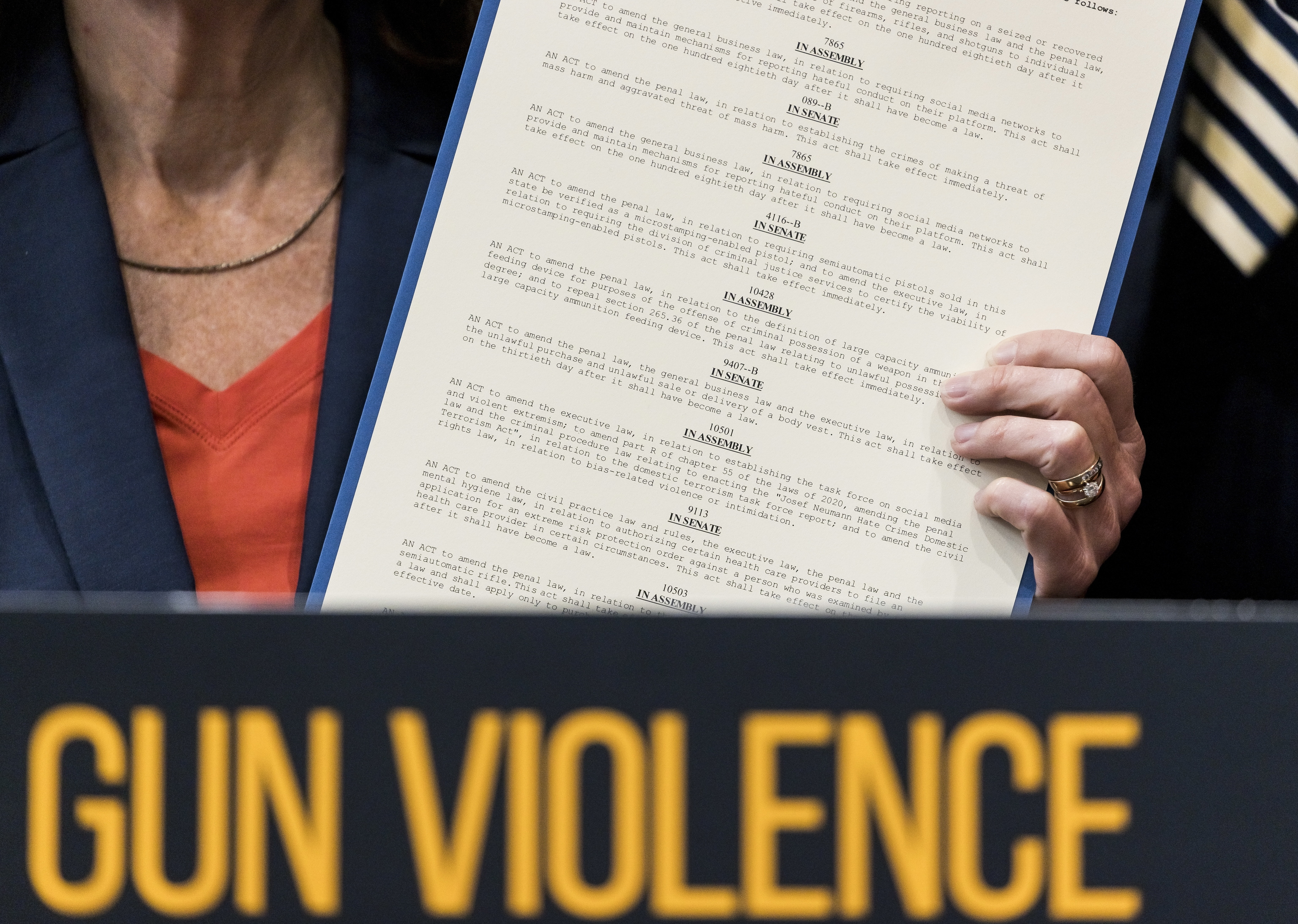 Governor Cathy Hochul introduced the Gun Control Bill in New York.