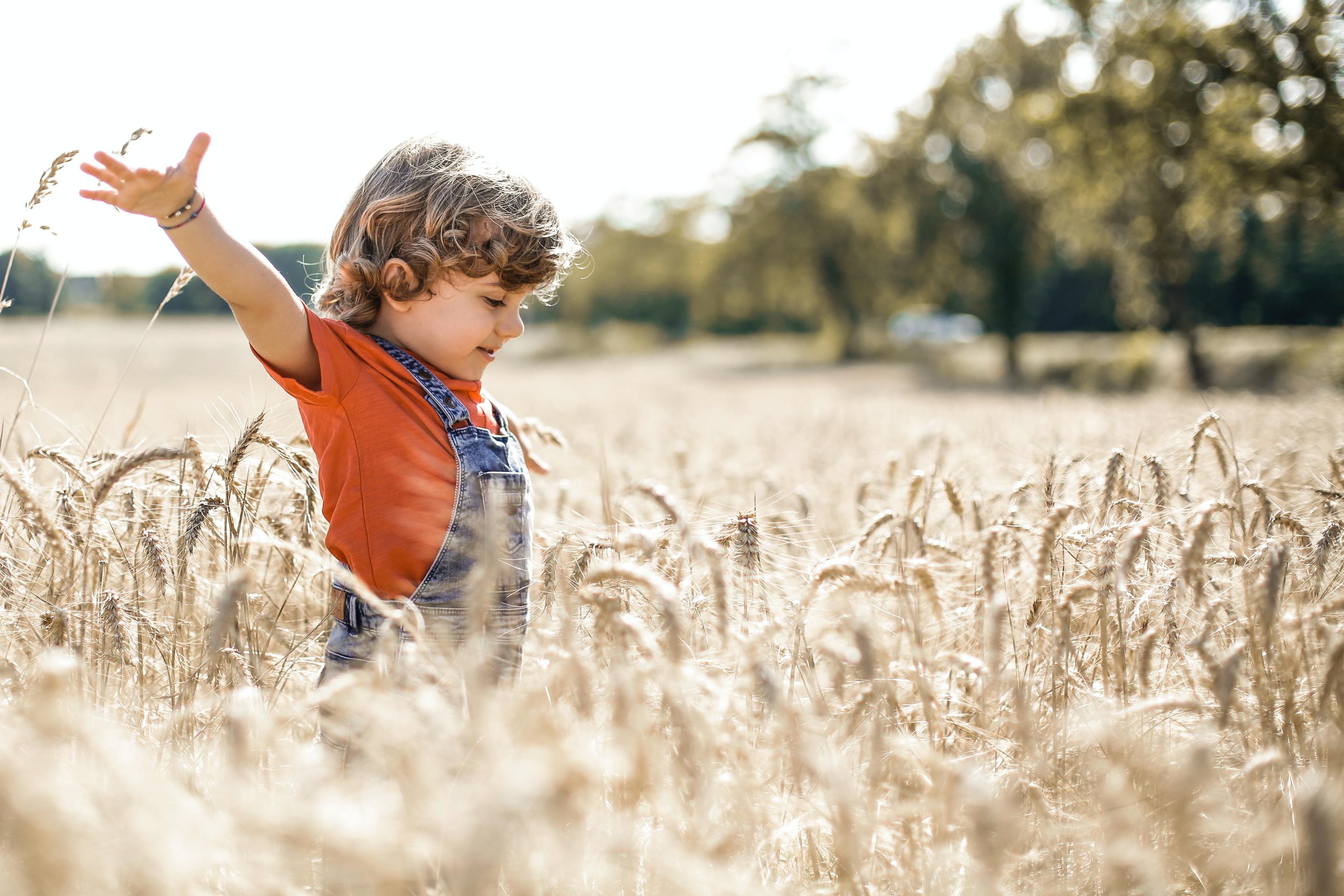 Un nio juega en torno a un campo de trigo, en un entorno campestre.