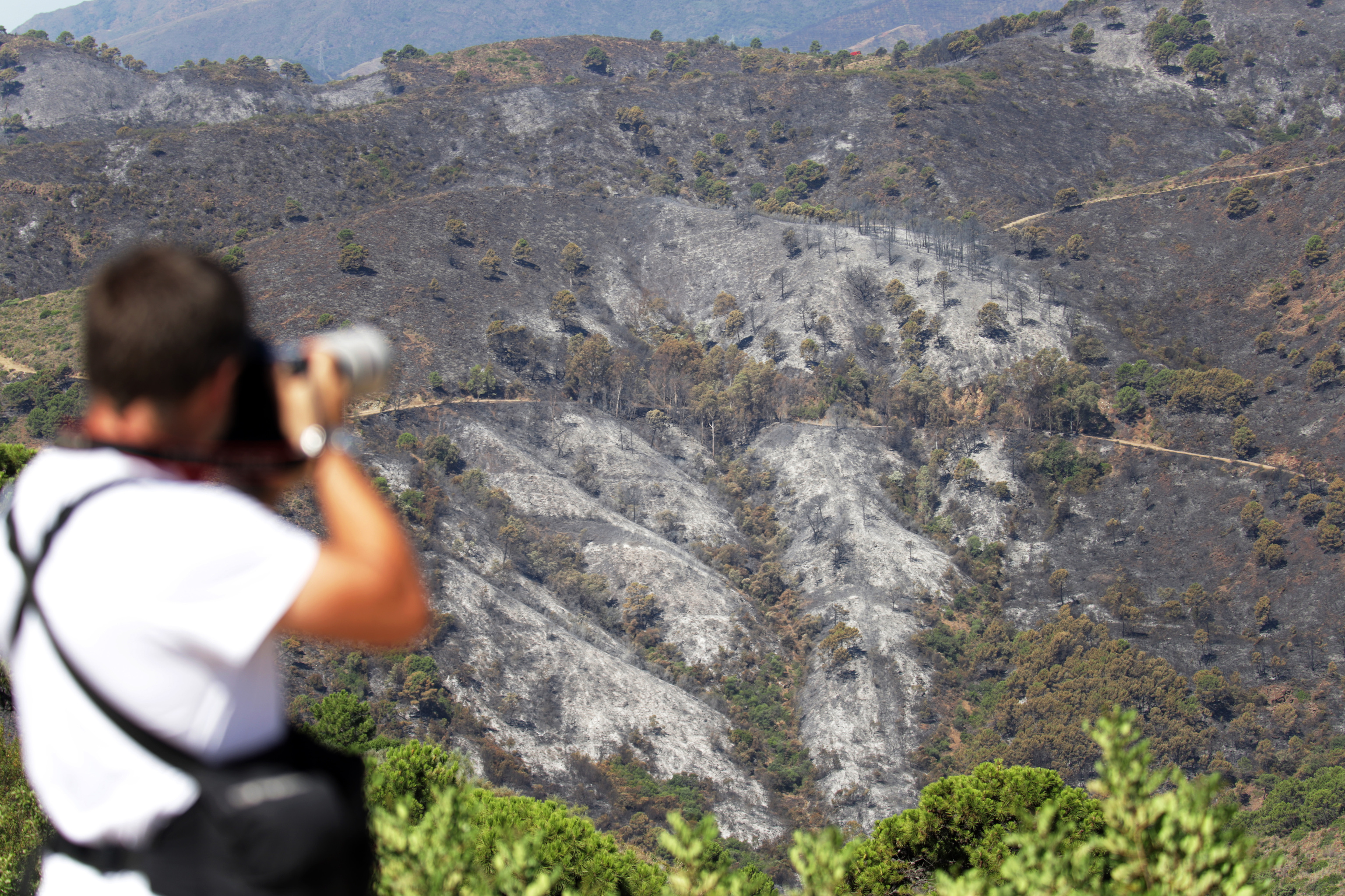 Un fotgrafo toma imgenes del paisaje arrasado por el fuego en la sierra de Pujerra.