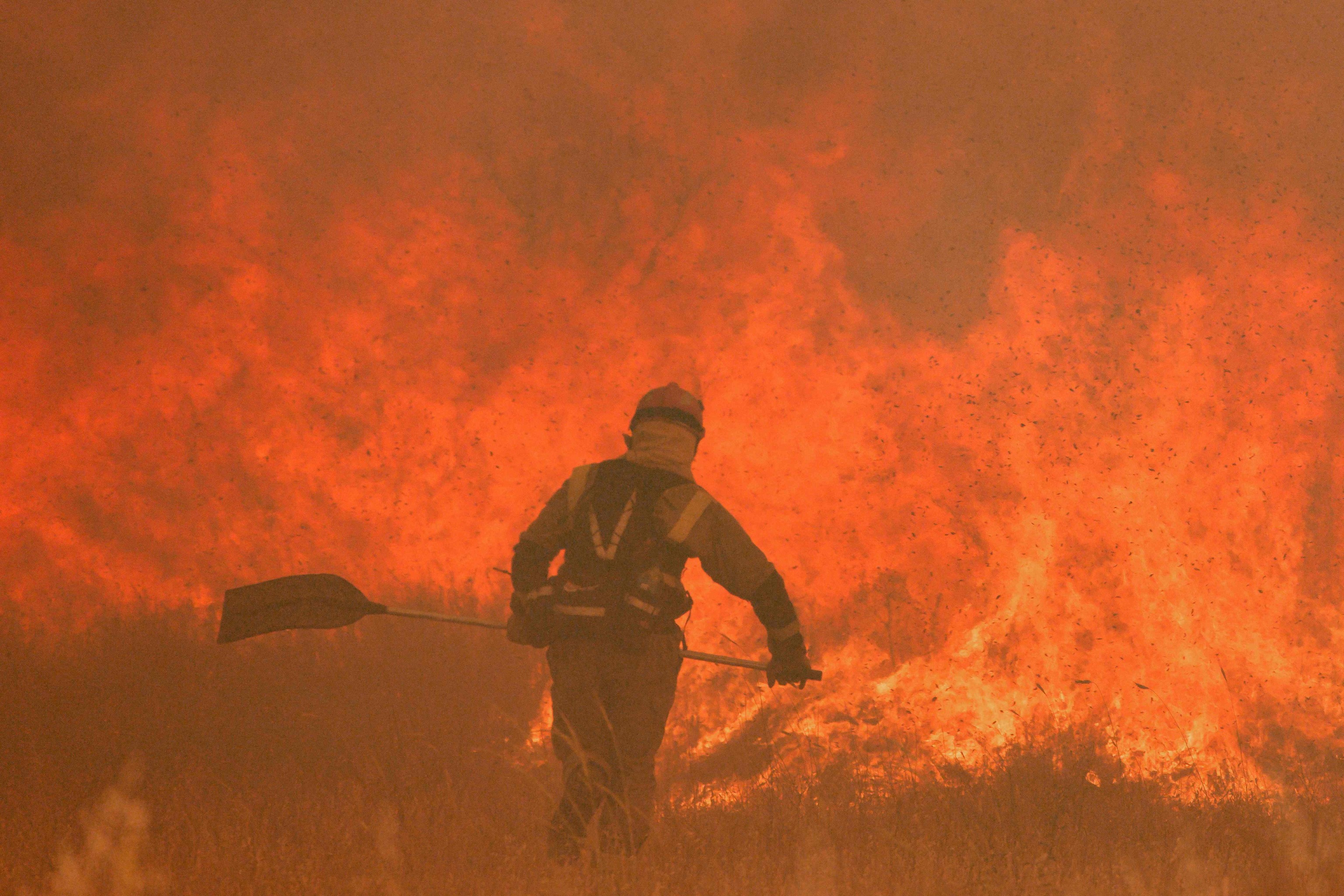 Un bombero combate el fuego en la provincia de Zamora.