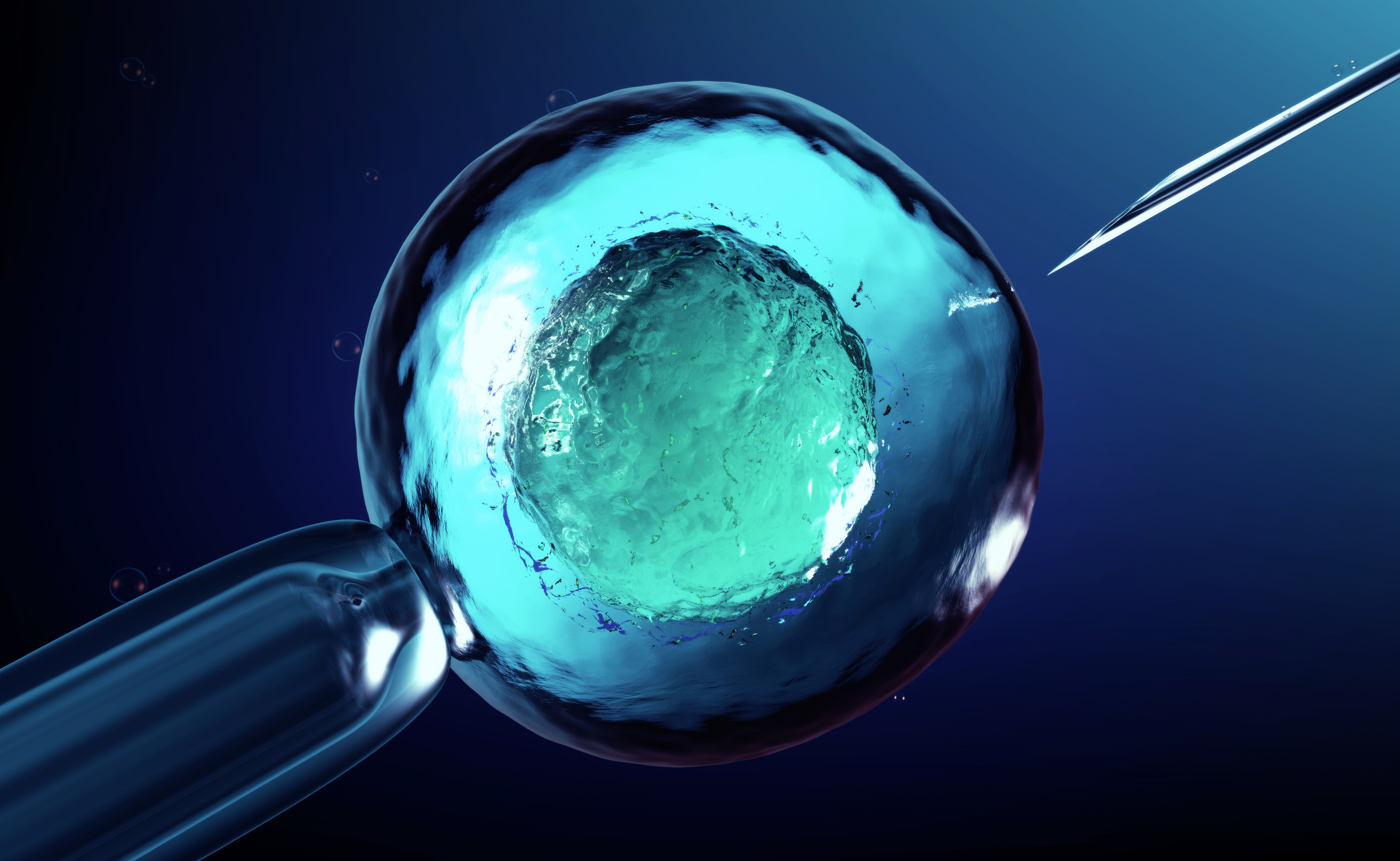 Clula embrionaria que est siendo manipulada cientficamente realizada en 3D artificialmente.