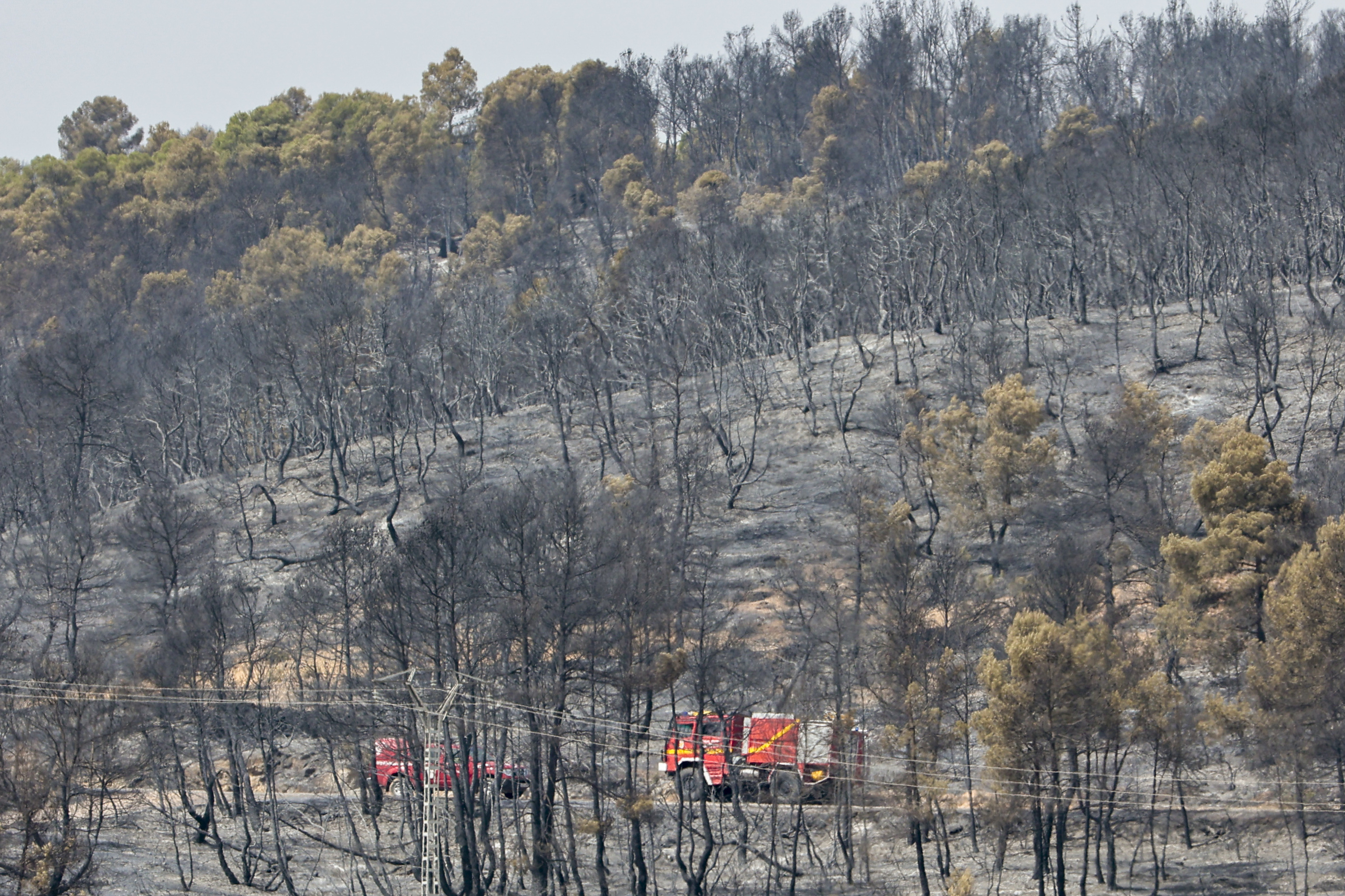 Ocho medios areos se incorporan al incendio forestal de Venta del Moro.