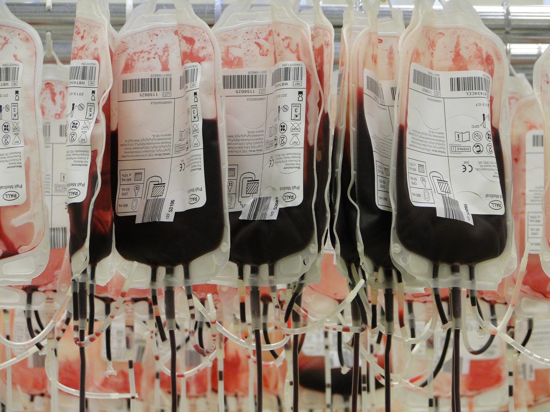 ¿Cuantos Litros De Sangre Tenemos?