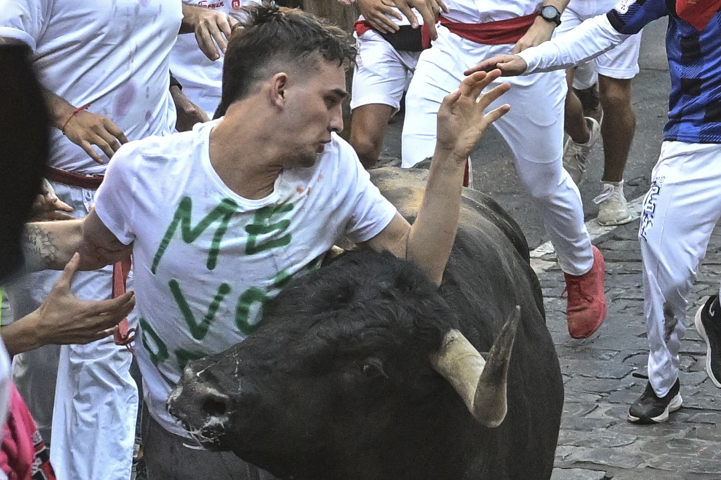 San Ferm n Los Cabestros Y Las Dificultades San Ferm n EL MUNDO