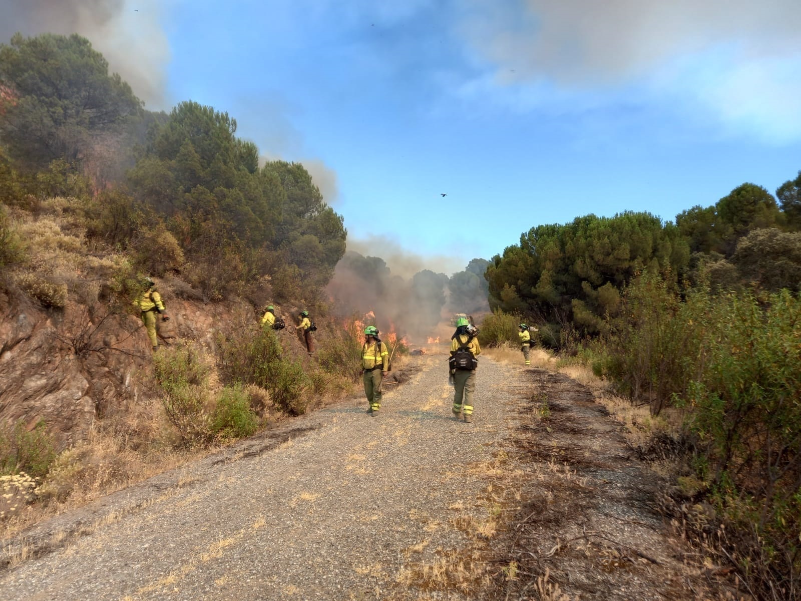 Bomberos del Infoca tratan de sofocar el incendio declarado en El Ronquillo, Sevilla.