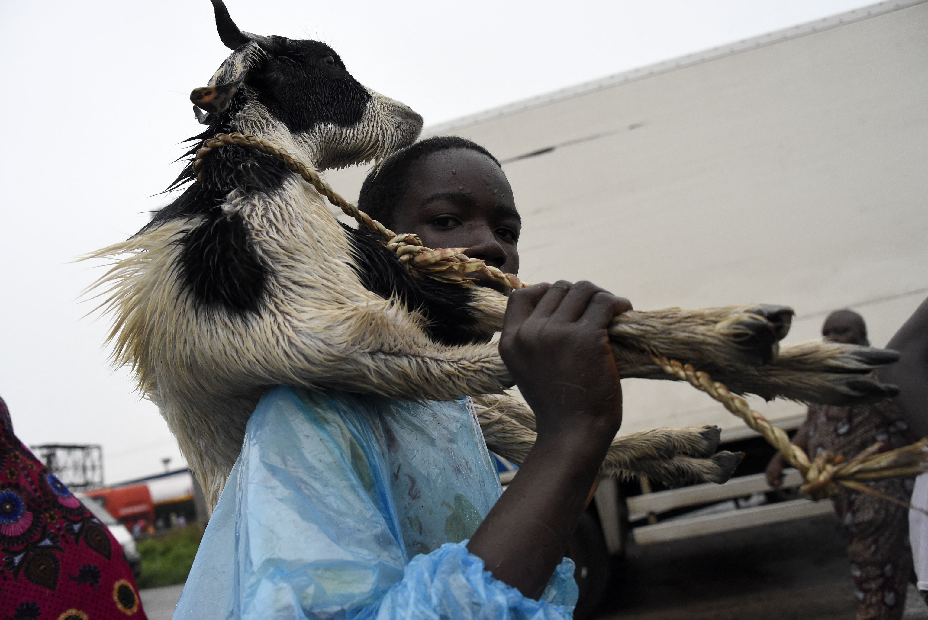 Un pastor en el mercado de ganado Kara Isheri de Ogun, Nigeria.