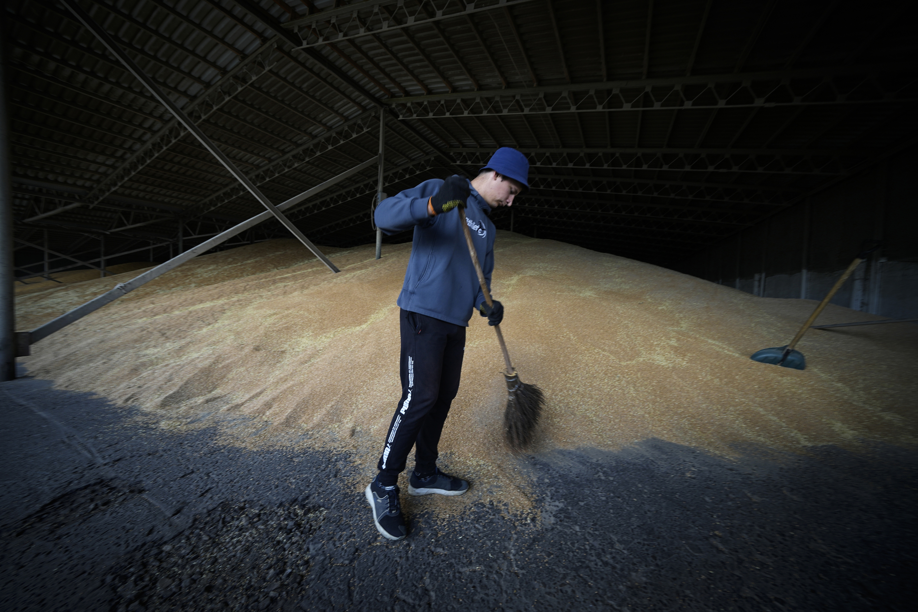 Un trabajador seca el grano en una granja de Kalmychanks (Ucrania)