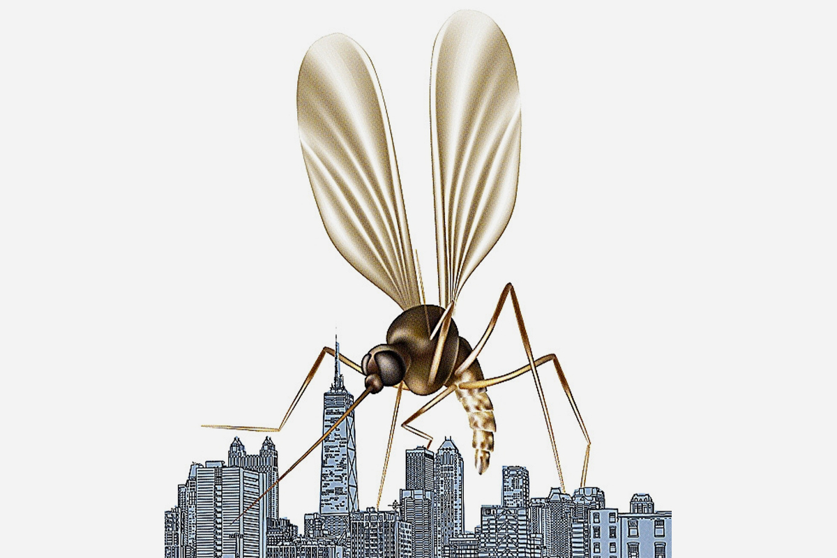 Todo lo que debes saber sobre los mosquitos y sus repelentes