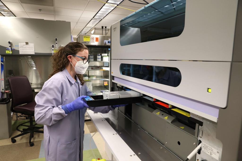 Una investigadora con unas muestras del virus de la viruela del mono en el Laboratorio de Virología de la Universidad de Washington.