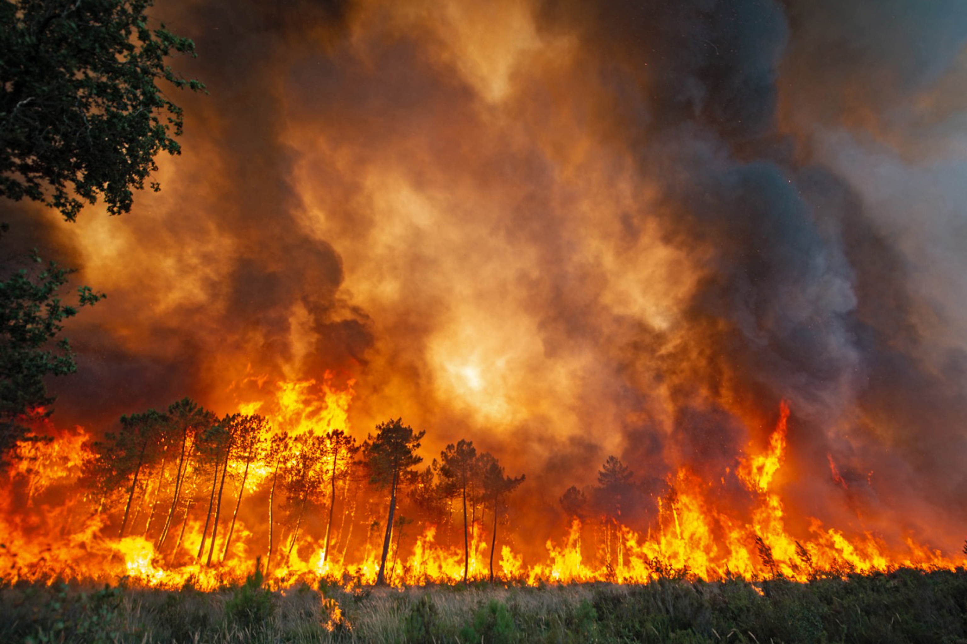 Incendio forestal en Landiras, Francia