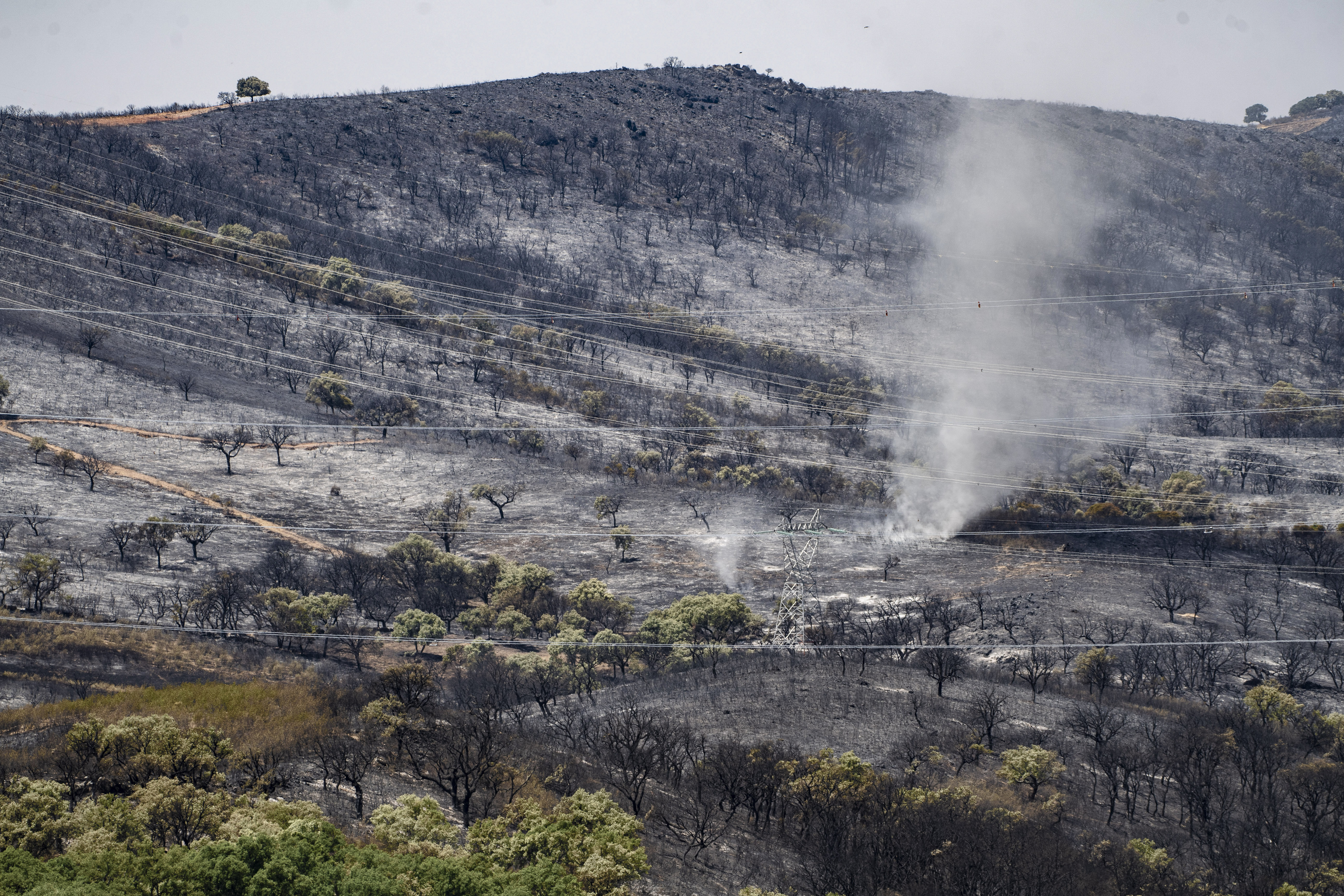 Los incendios en el norte de Extremadura han quemado más de 6.200 hectáreas pero ya están estables y controlados thumbnail