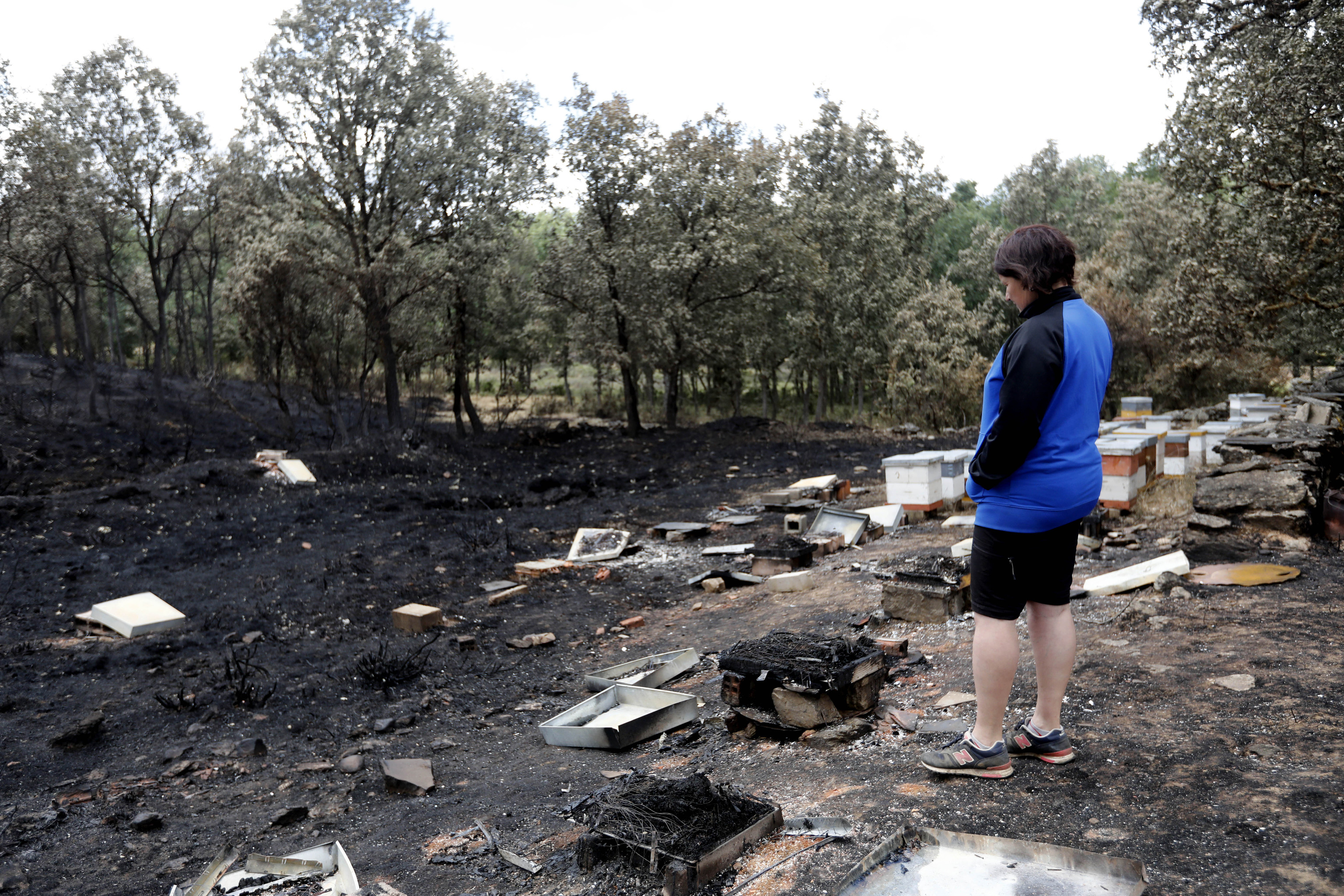 Hasta 200.000 euros de ayuda a pymes y autónomos que se instalen en las zonas afectadas por los incendios en Castilla y León