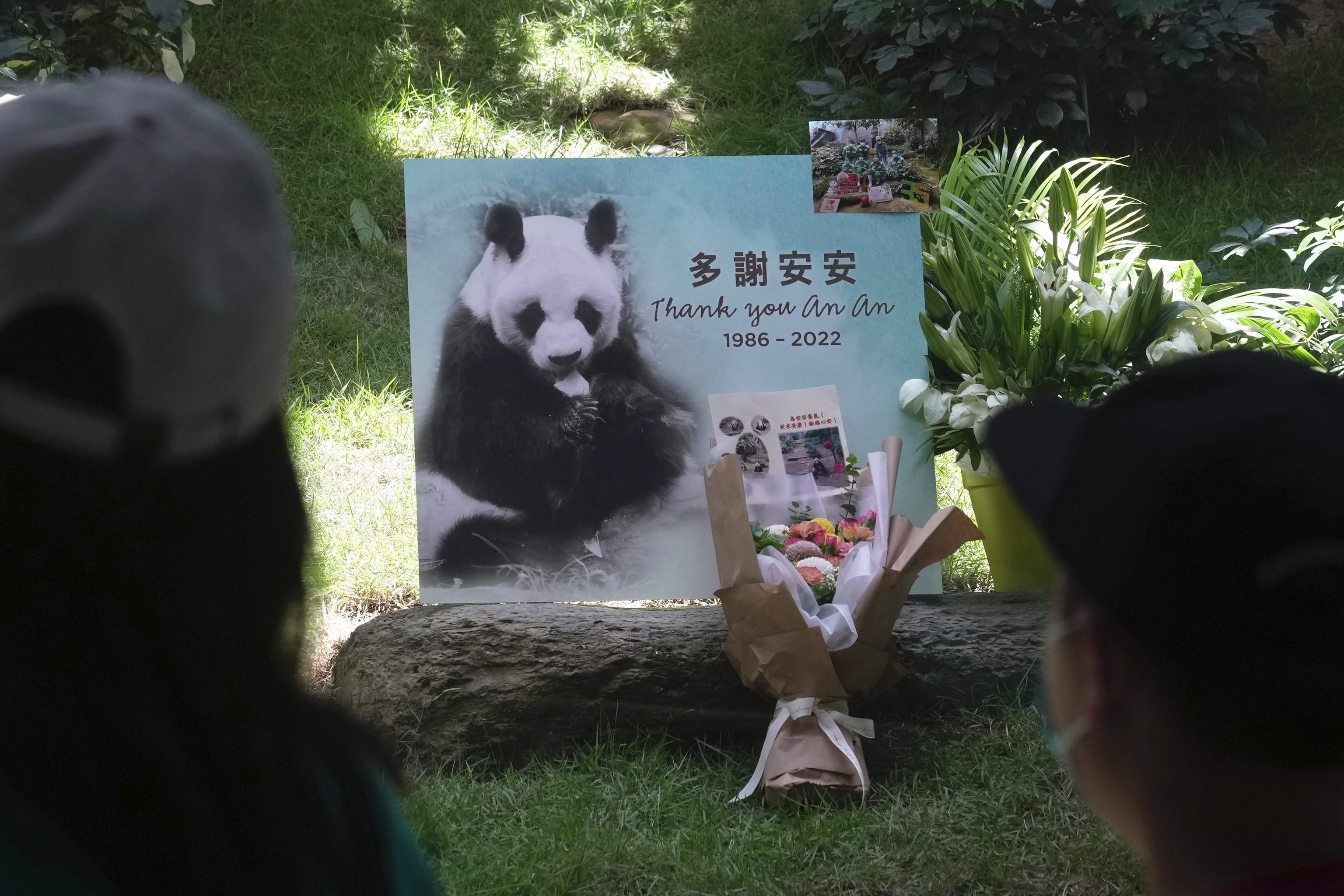 Un ramo de flores en recuerdo del oso panda An An.