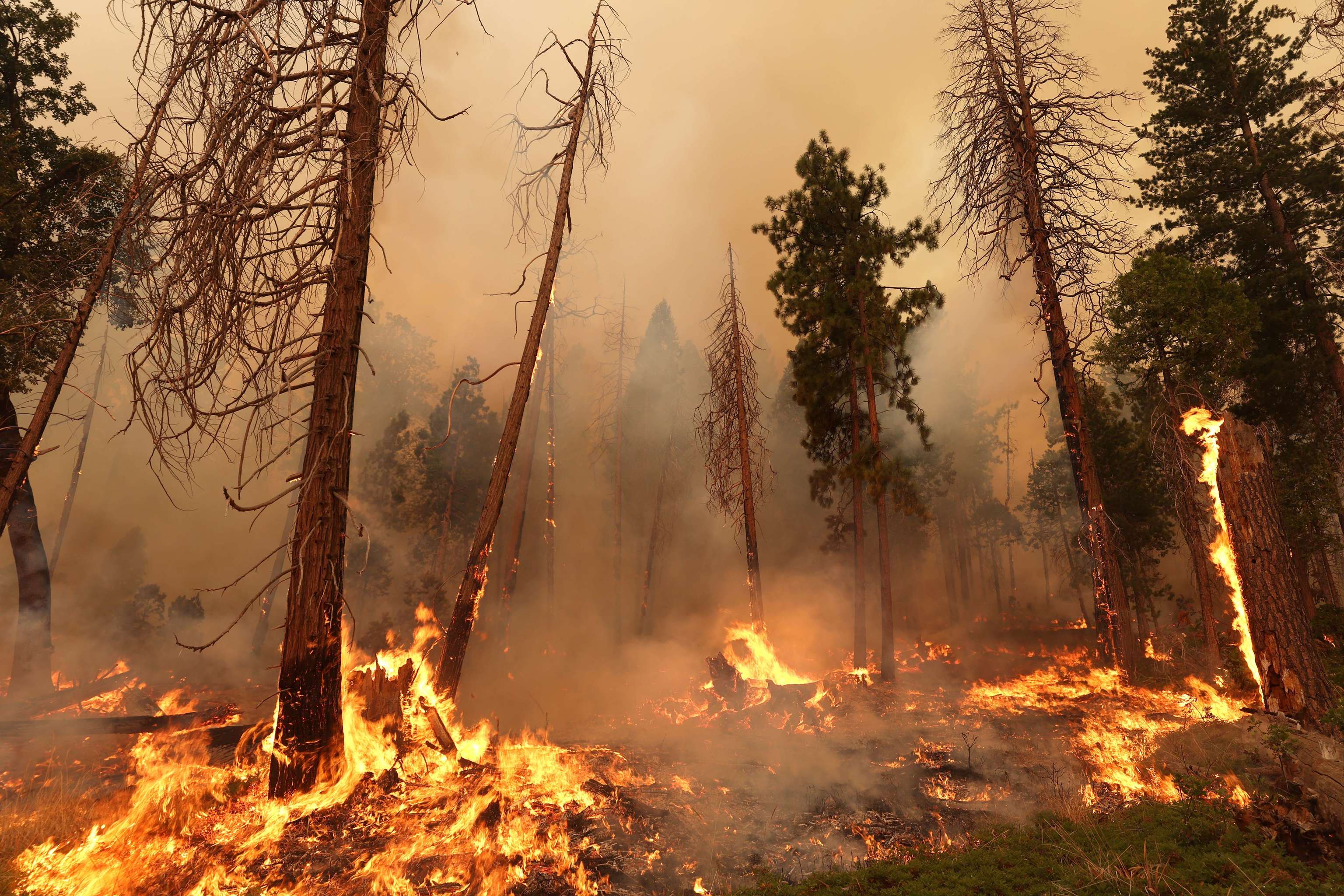 El fuego se extiende cerca del Parque Nacional de Yosemite en medio del calor que abrasa a EEUU
