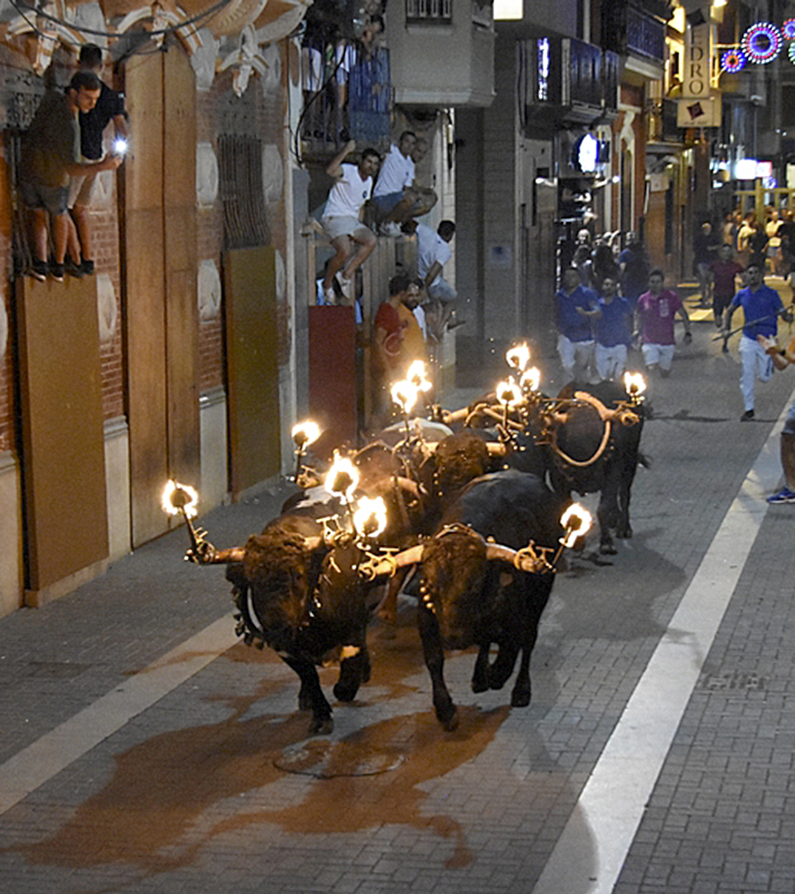 Una exhibicin taurina de 'bou al carrer' en la ciudad.