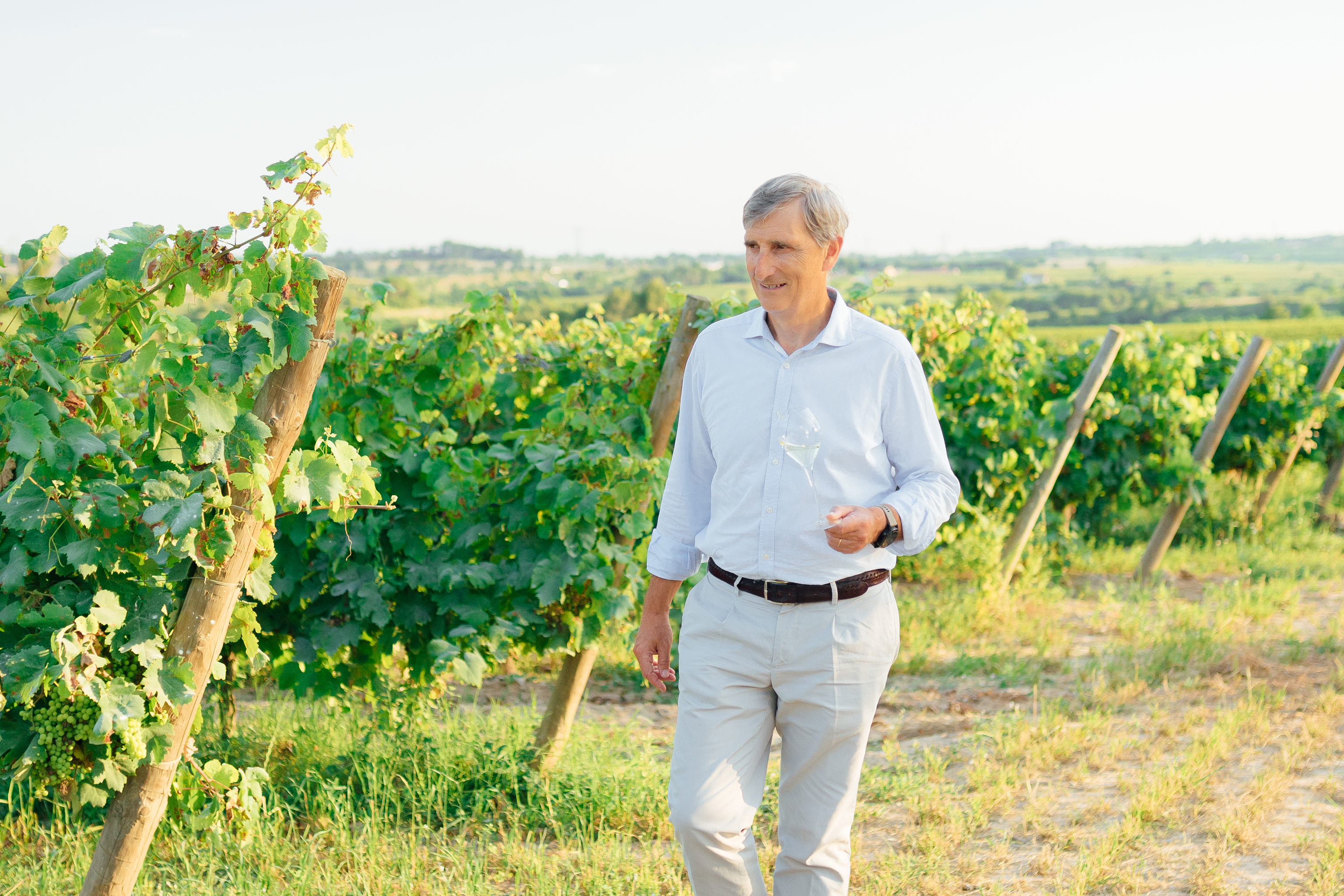 Javier Pagés, reelegido presidente de la D.O. del Cava con representación inédita de los viticultores valencianos y extremeños