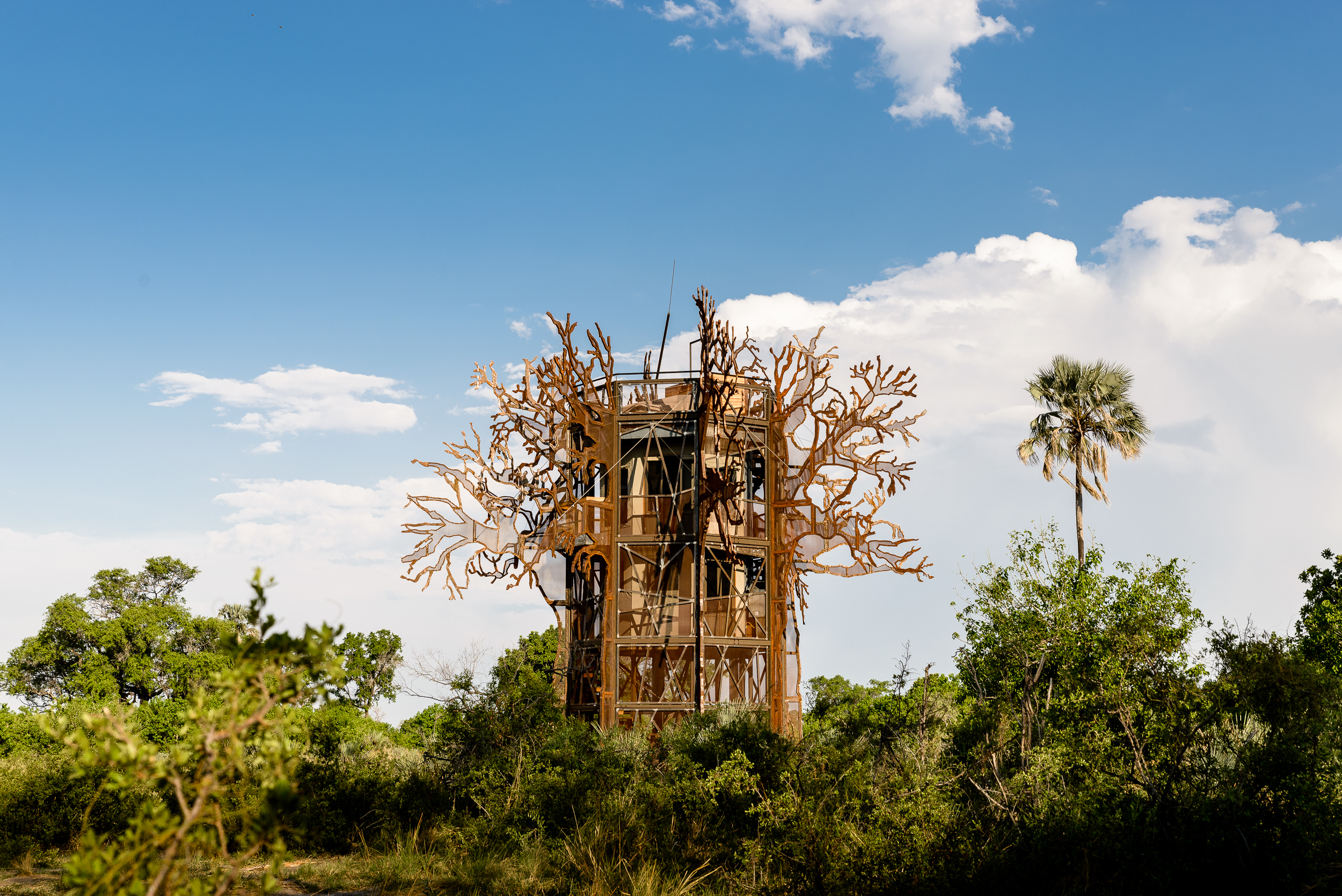 El 'baobab, del Xigera Safari Lodge.