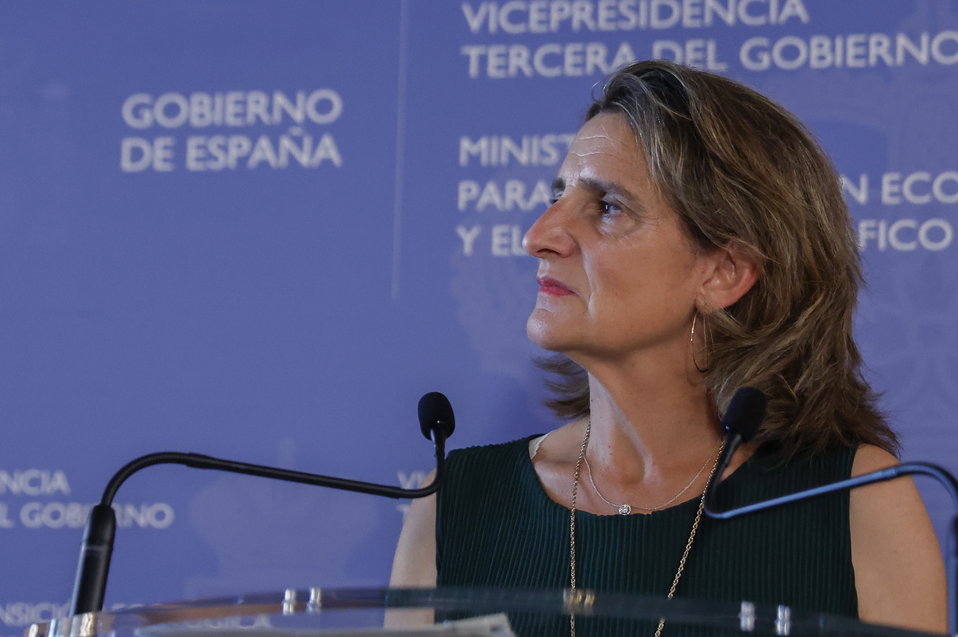 La ministra de Transicin Ecolgica, Teresa Ribera.
