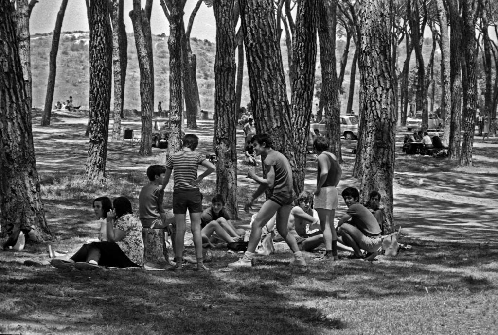 El oasis de la Casa de Campo | Madrid | EL MUNDO