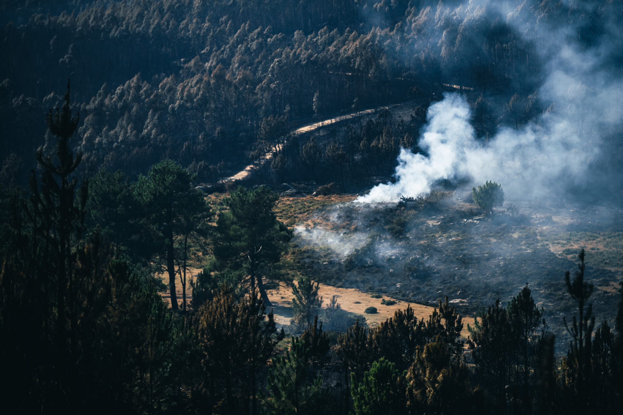 Los incendios forestales siguen castigando Galicia.
