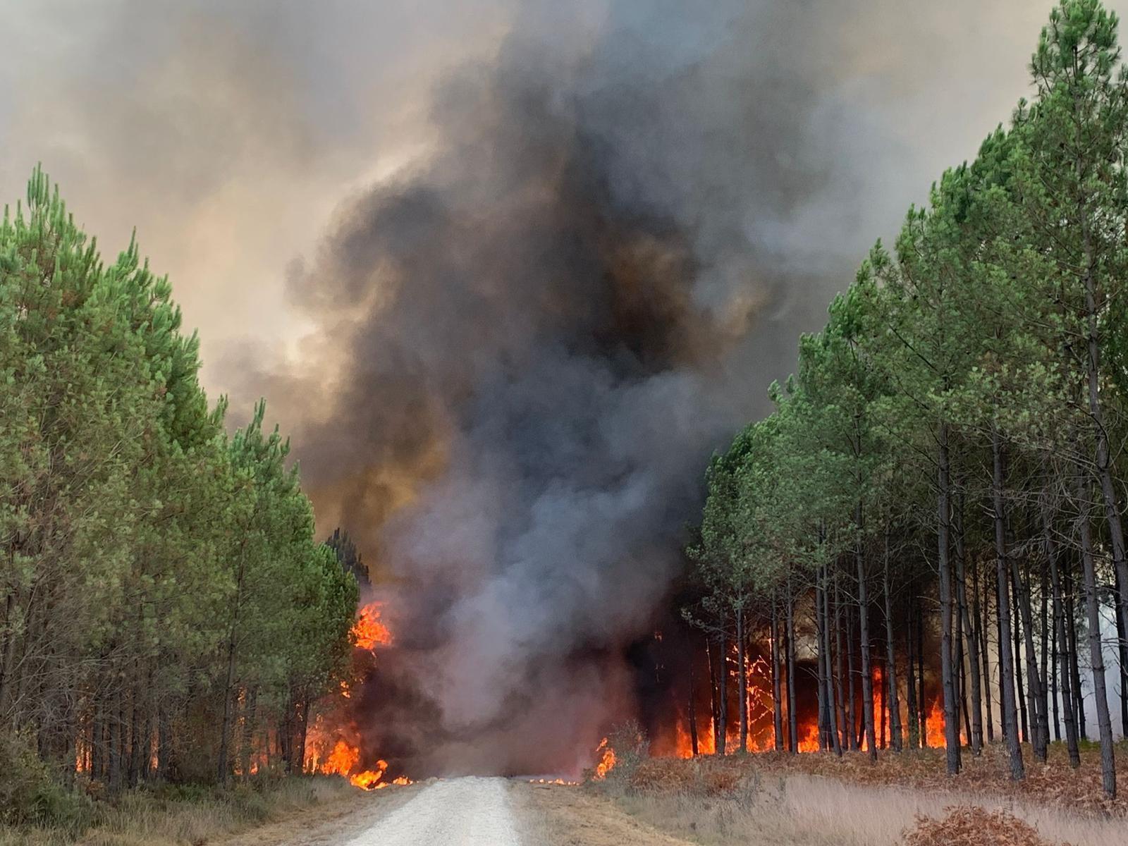 Se reanuda el gigantesco incendio desatado en el suroeste de Francia y que ya ha quemado más de 6.000 hectáreas