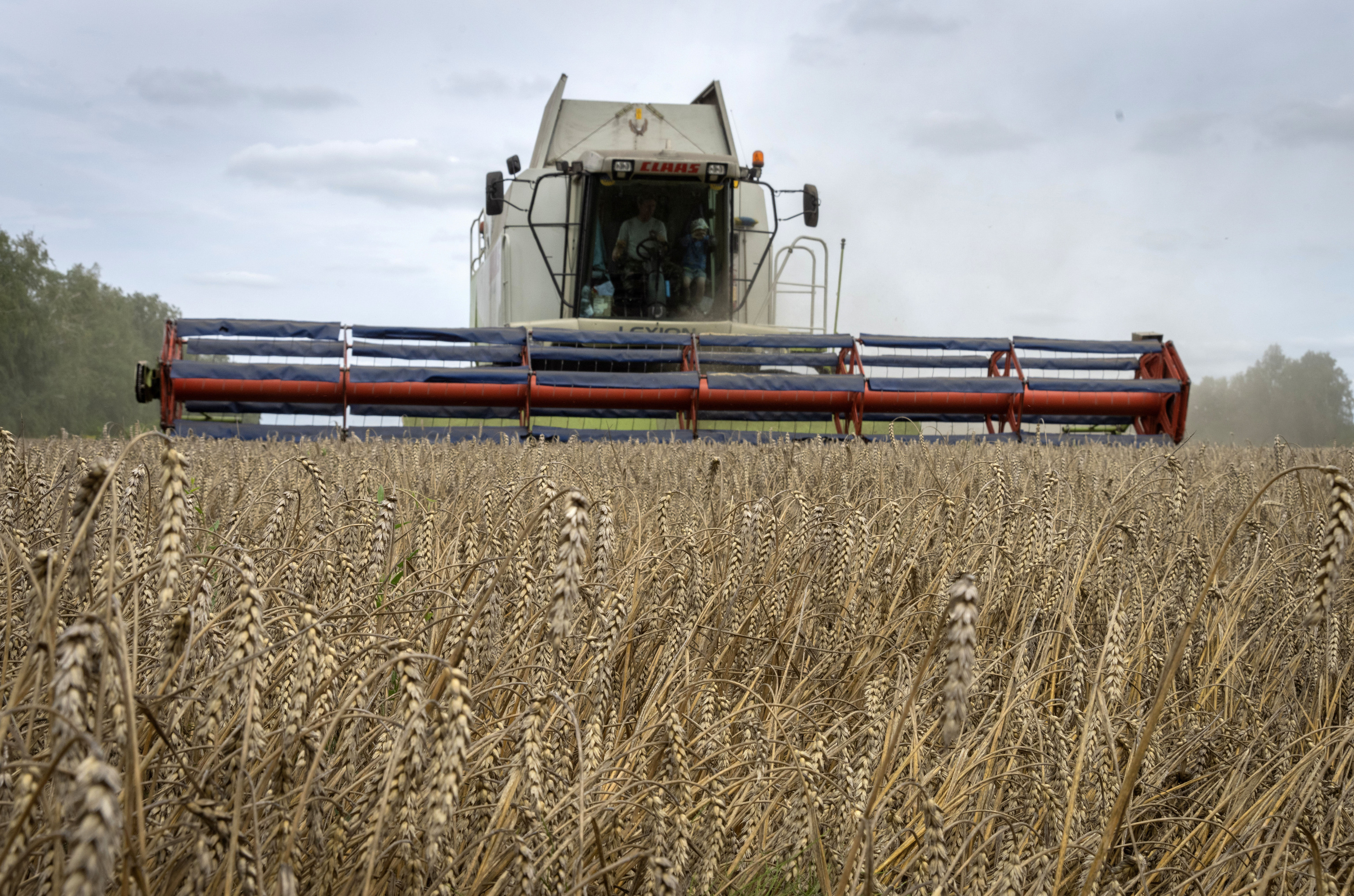 La agricultura, en primera línea de fuego en el este de Ucrania