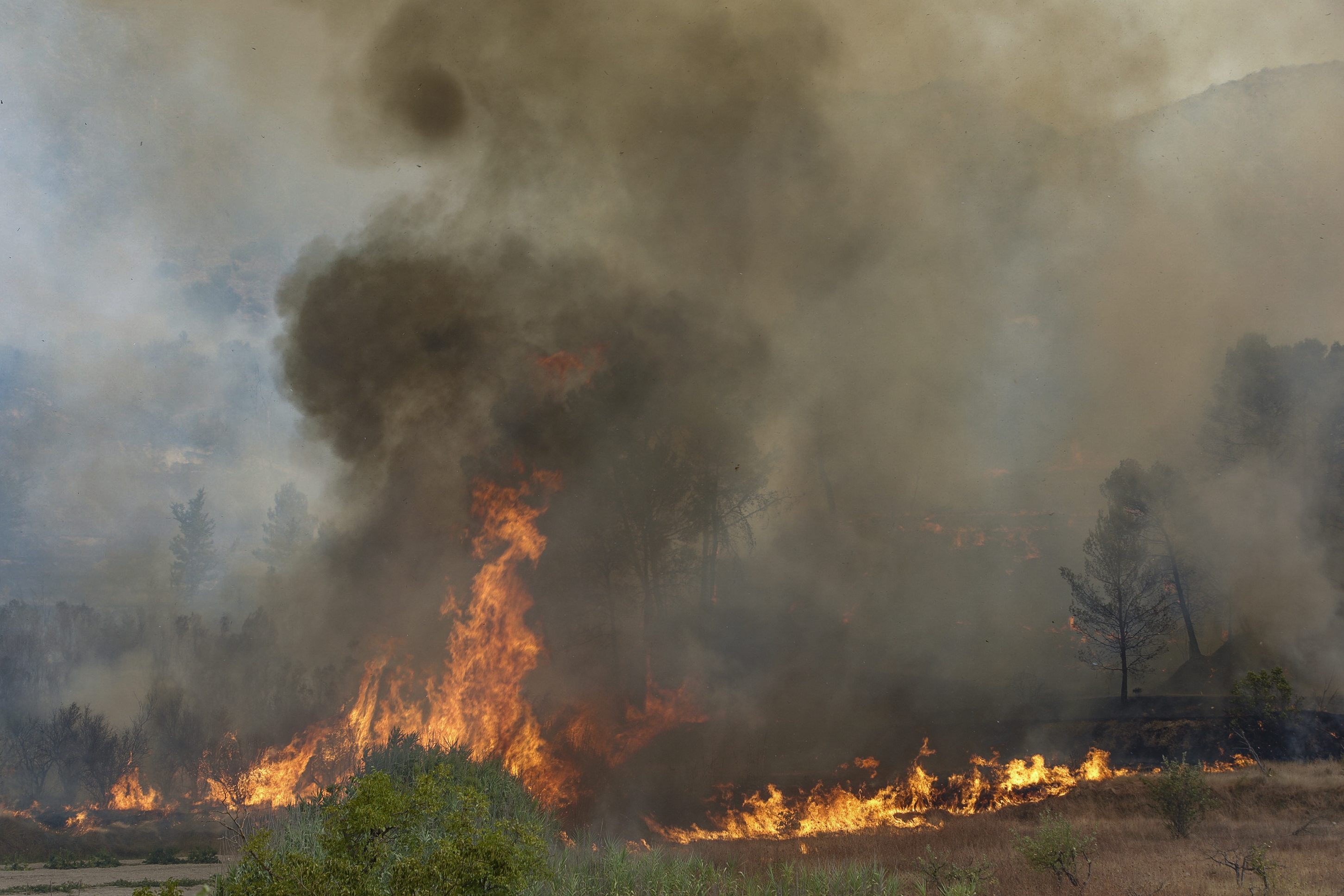 Las llamas consumen la masa forestal en la Vall d'Ebo.