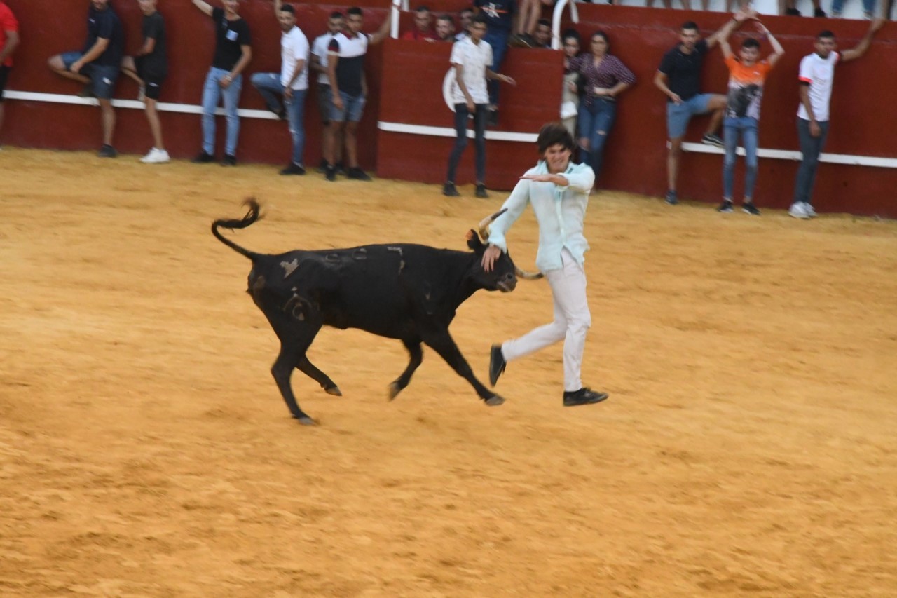 Un joven corre delante de una vaquilla en la plaza de toros de San Roque.