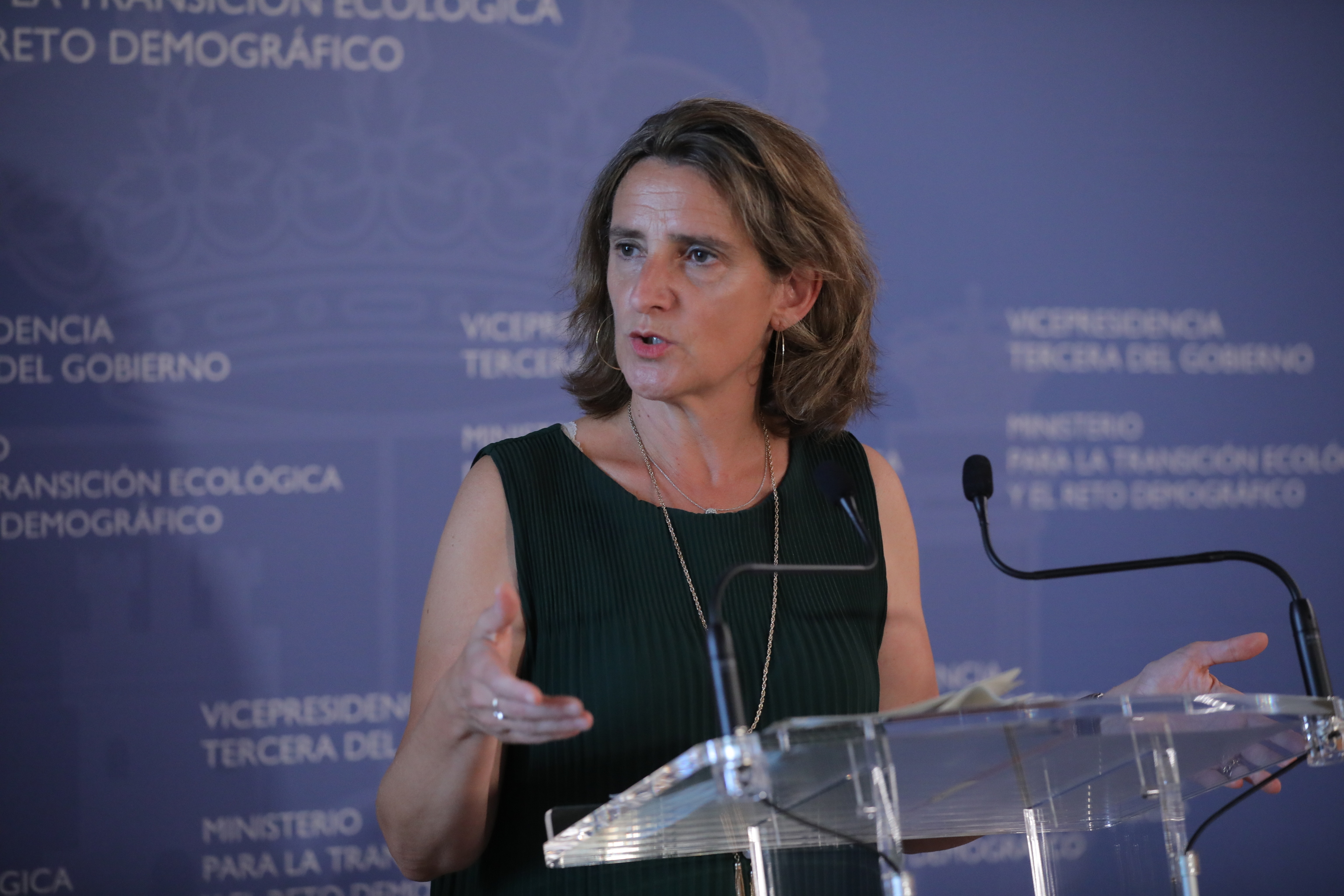Teresa Ribera comparece en rueda de prensa tras la reunión de la Conferencia Sectorial de la Energía.