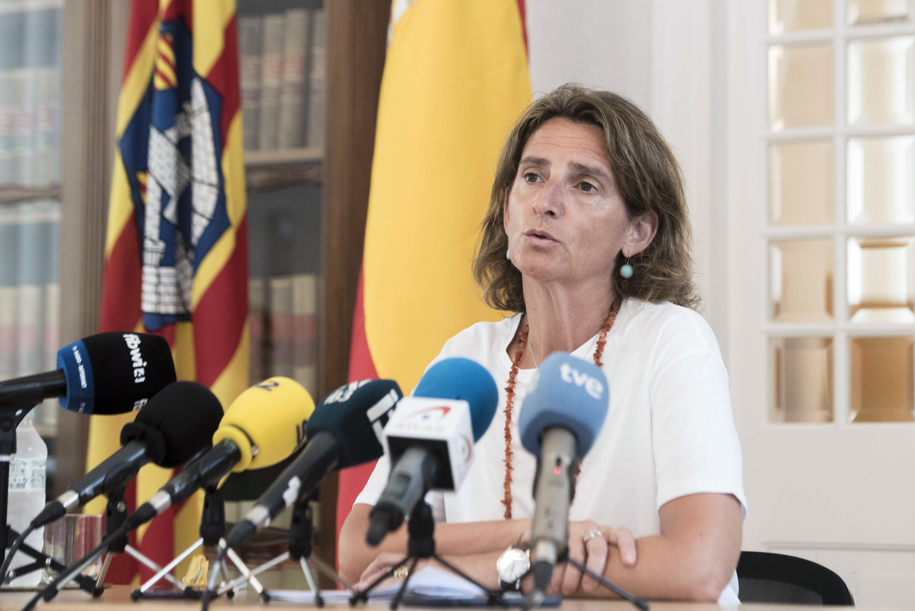Teresa Ribera, durante la rueda de prensa del miércoles en la sede de la Delegación del Gobierno de Mahón.