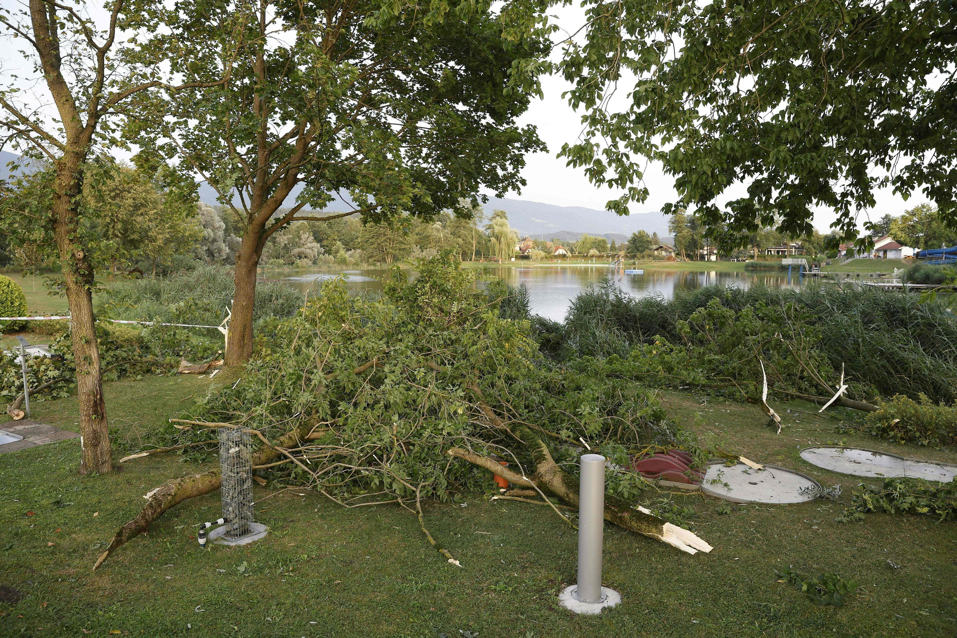 Árboles caídos en Austria a causa de las tormentas que han acabado con la vida de cinco personas.
