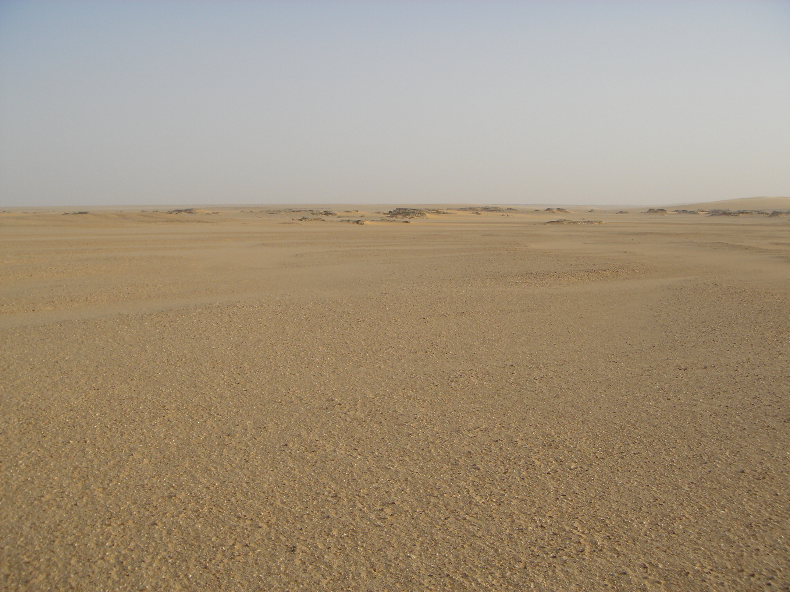 El desierto de Djurab donde se encontraron los fsiles