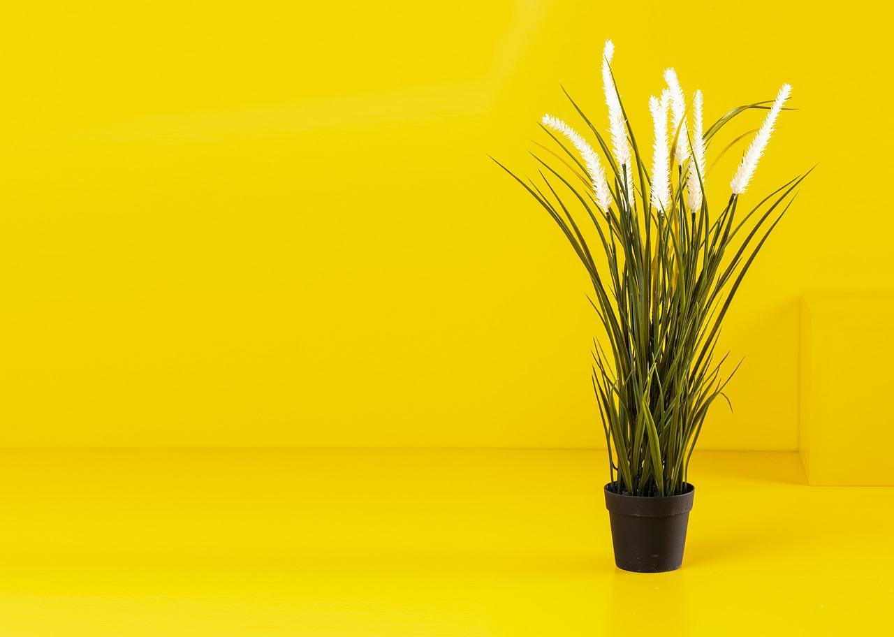 Las mejores plantas artificiales para decorar rincones